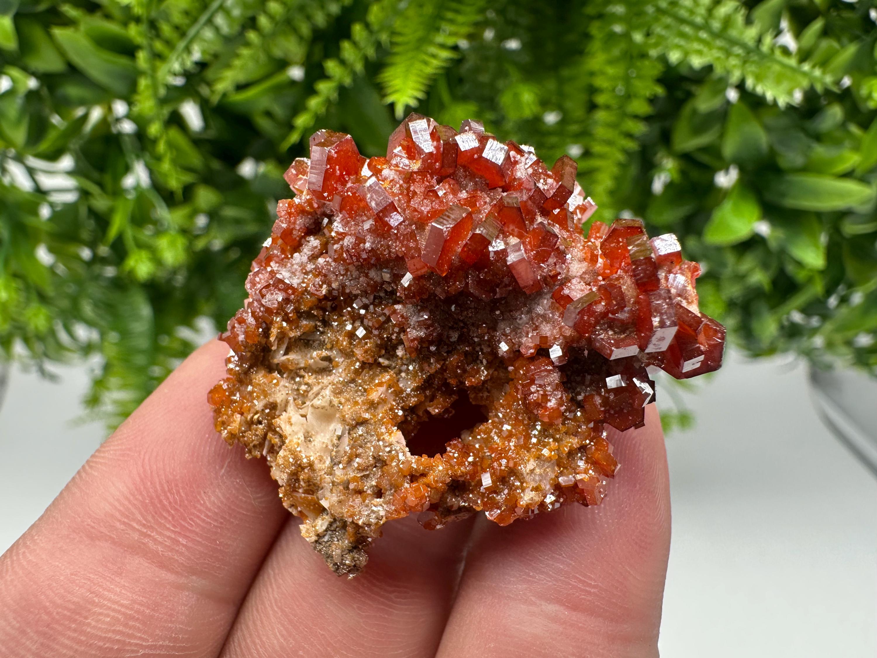Red Vanadinite on Barite from Marocco,crystal minerals Speciment cluster Vanadinite crystal Vanadinite Geology Vanadinite cluster minerals