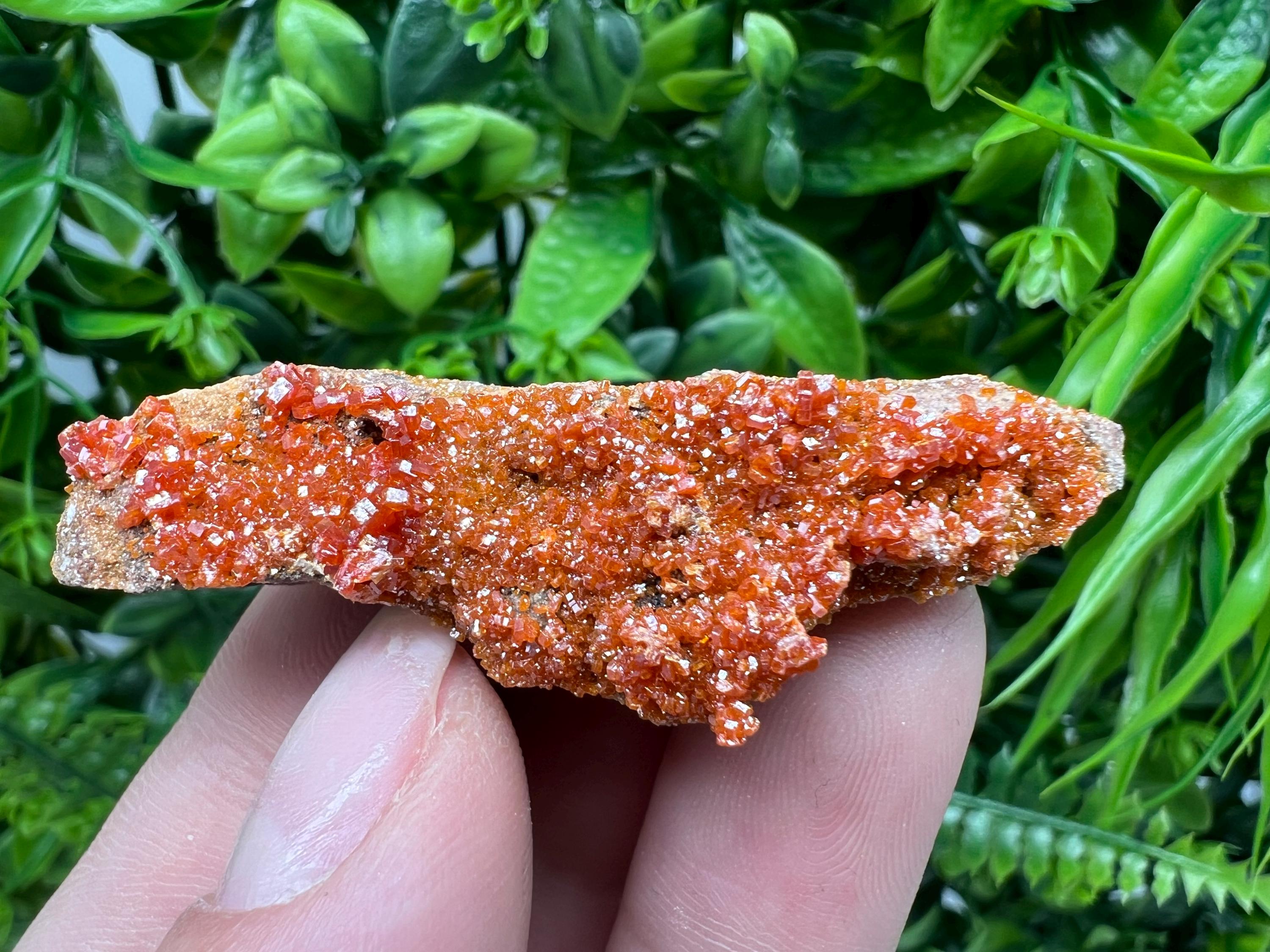 Red Vanadinite on Barite from Marocco,crystal minerals Speciment cluster Vanadinite crystal Vanadinite Geology Vanadinite cluster minerals