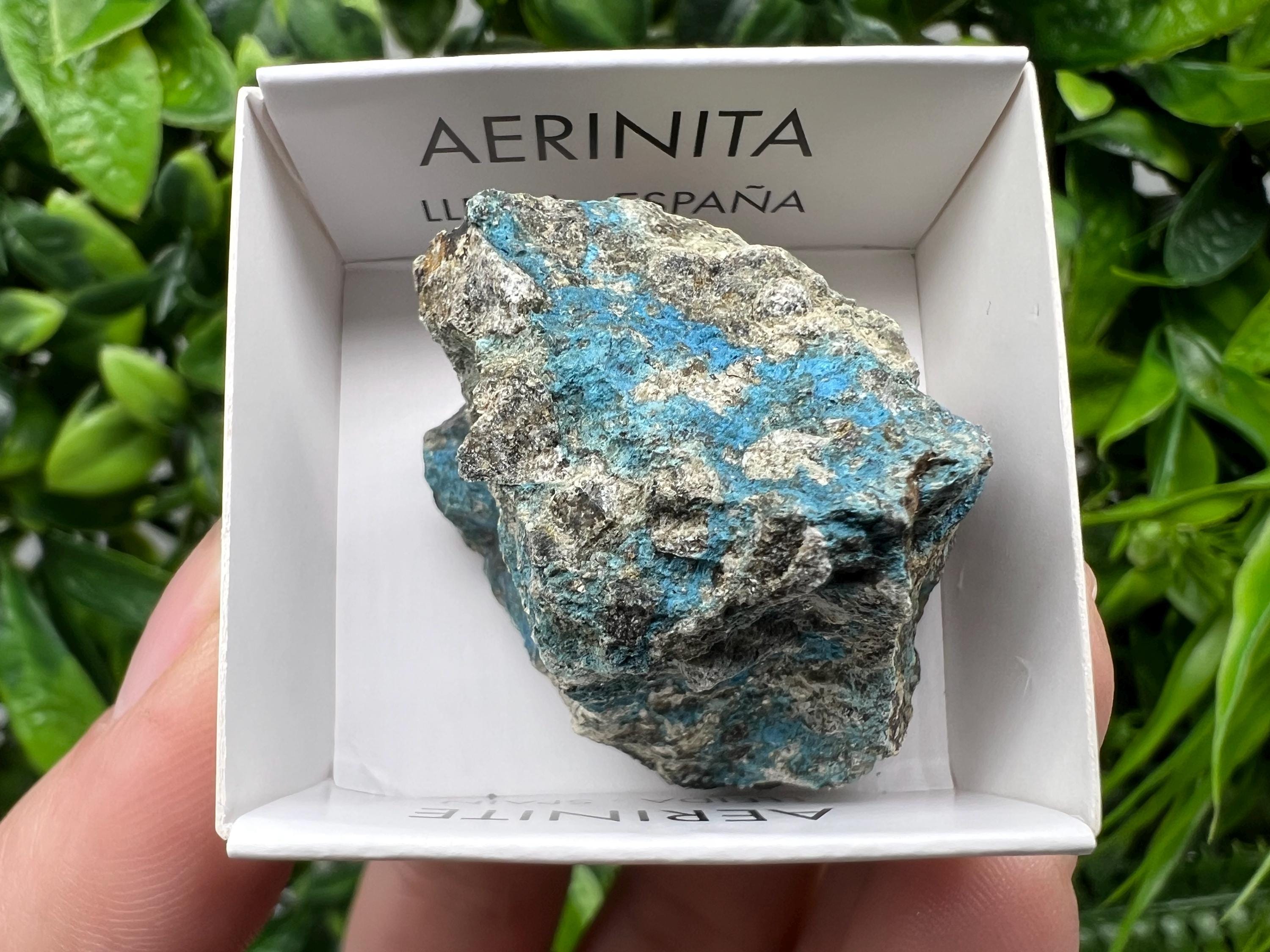 Rare Raw Aerinite Specimen: Mineral Collection Crystal from Spain