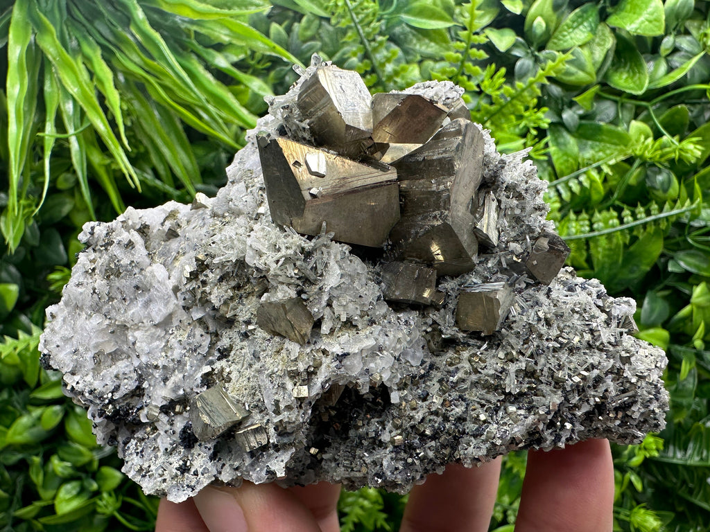 Crystallized Pyrite on Quartz, Madan Bulgaria, Home Decor