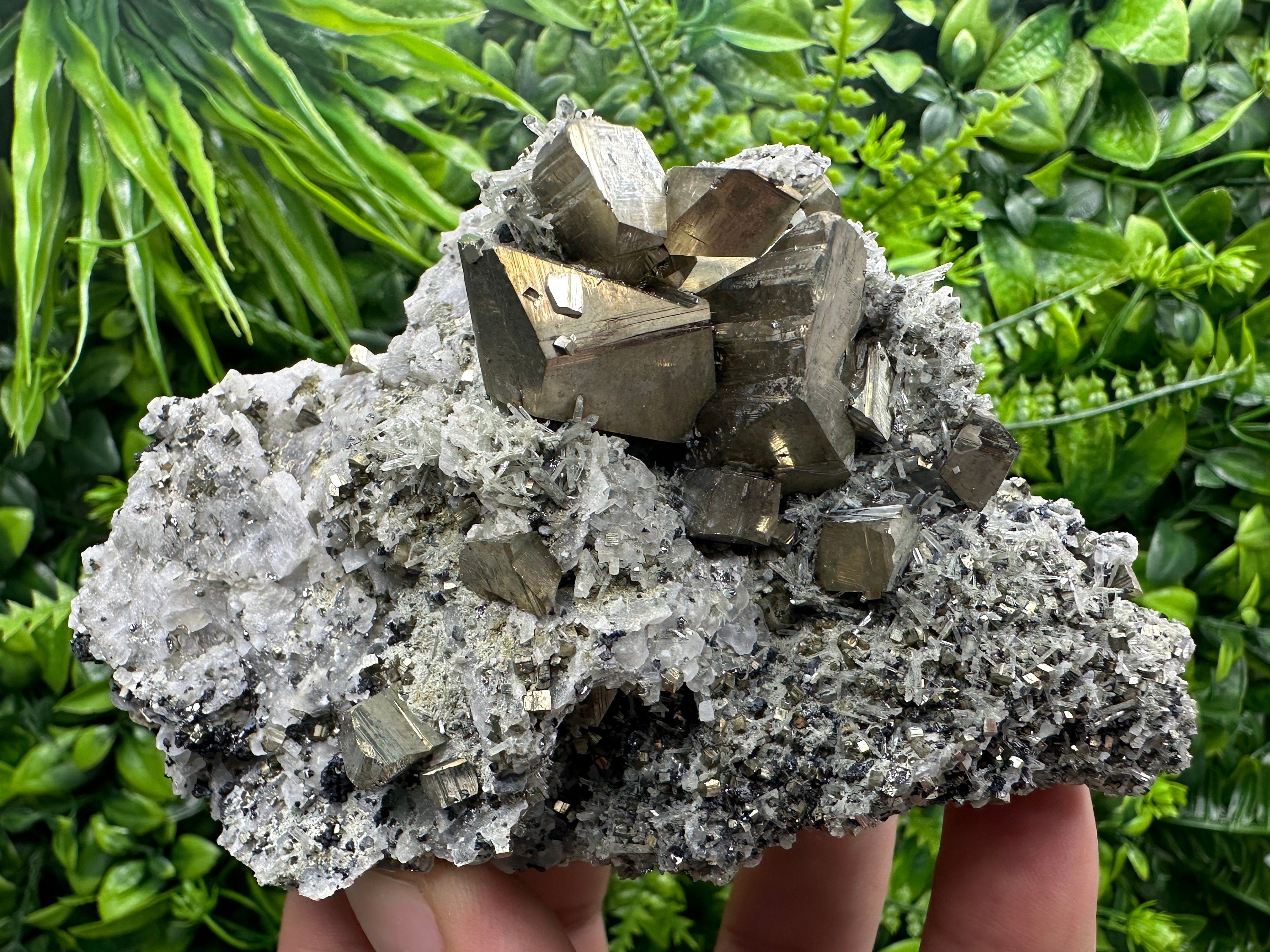 Crystallized Pyrite on Quartz, Madan Bulgaria, Home Decor