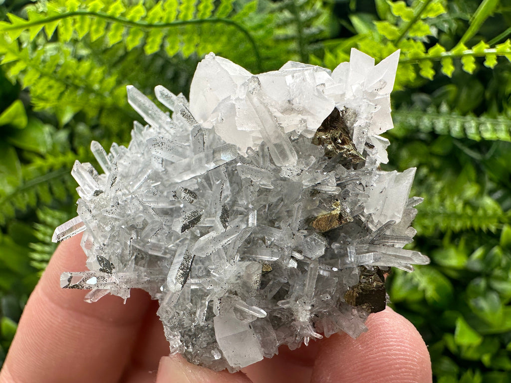 Chalcopyrite & Calcite on Quartz: Borieva Mine, Bulgaria