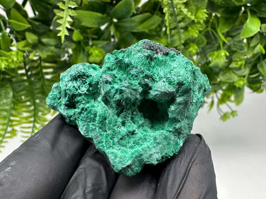 Malachite Crystal from Congo,Minerals,Crystals from Congo,Green Malachite, Malachite,Natural Malachite,Malachite Stone,Chakra, Specimens