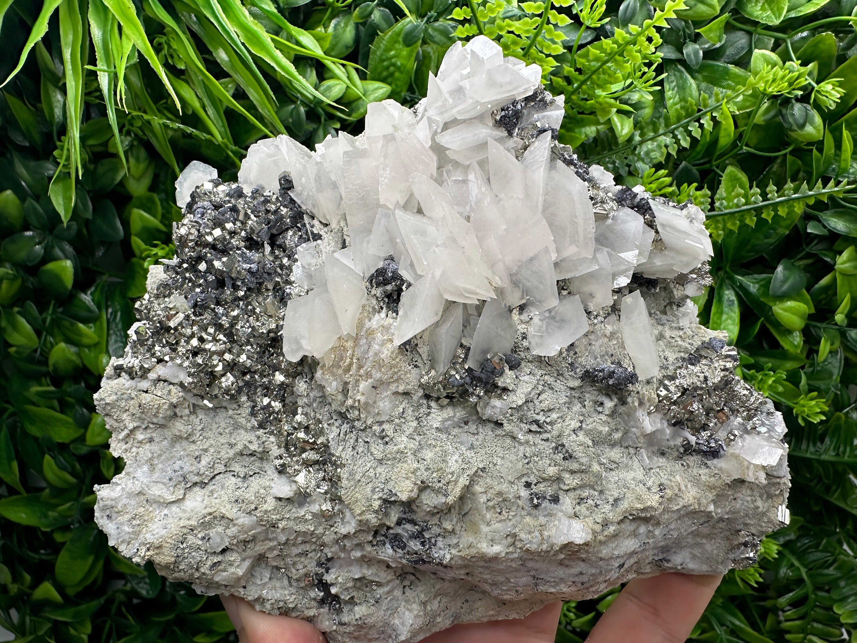 Golden Pyrite with Calcite on Matrix, Borieva Mine Mineral Specimen