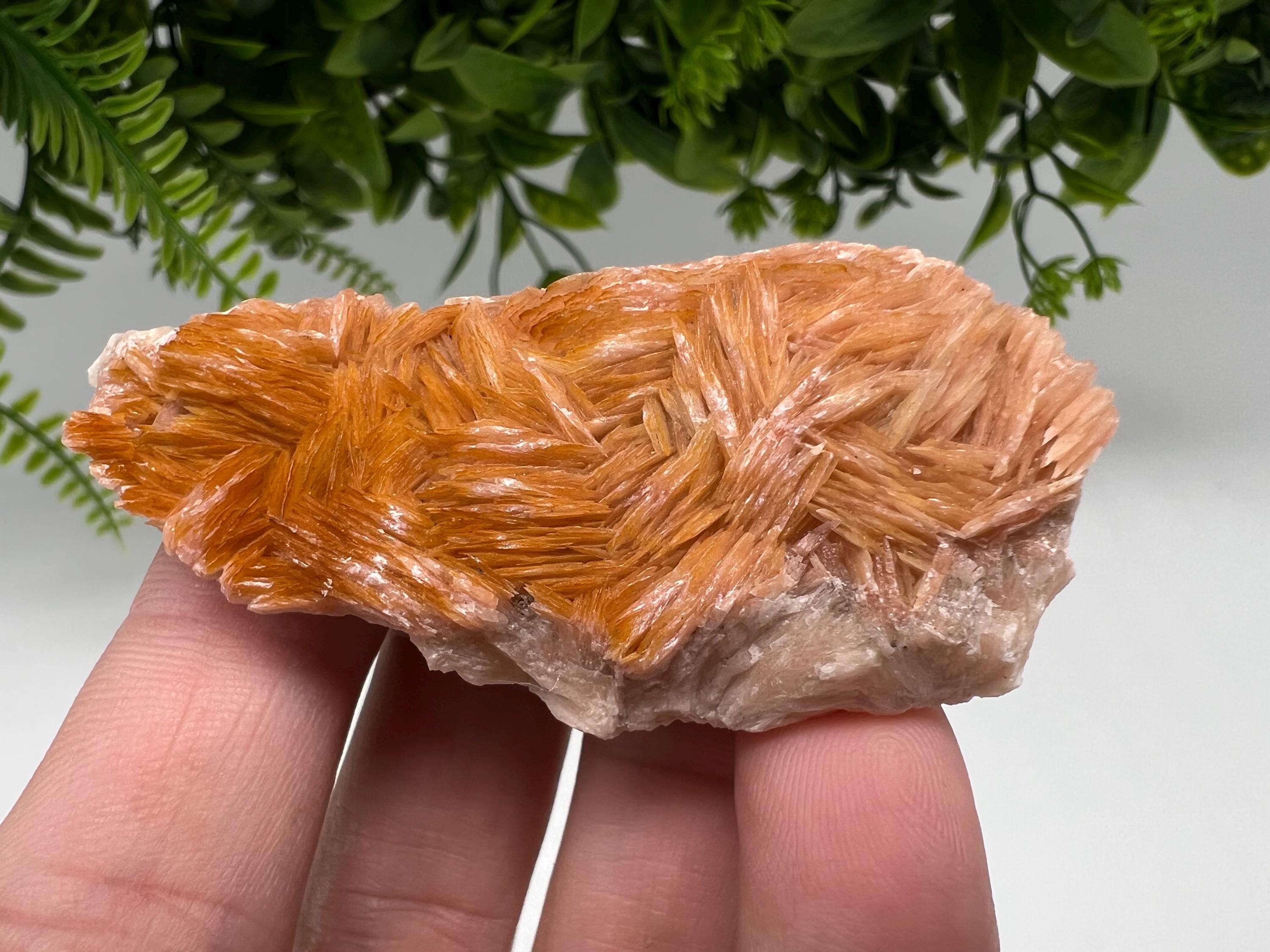 Wonderful Baryte with Cerussite on Galena from Morocco,Crystal, Mineral,Specimen,Cluster,Crystals,Barite Crystal,Cerussite Crystal,Specimen