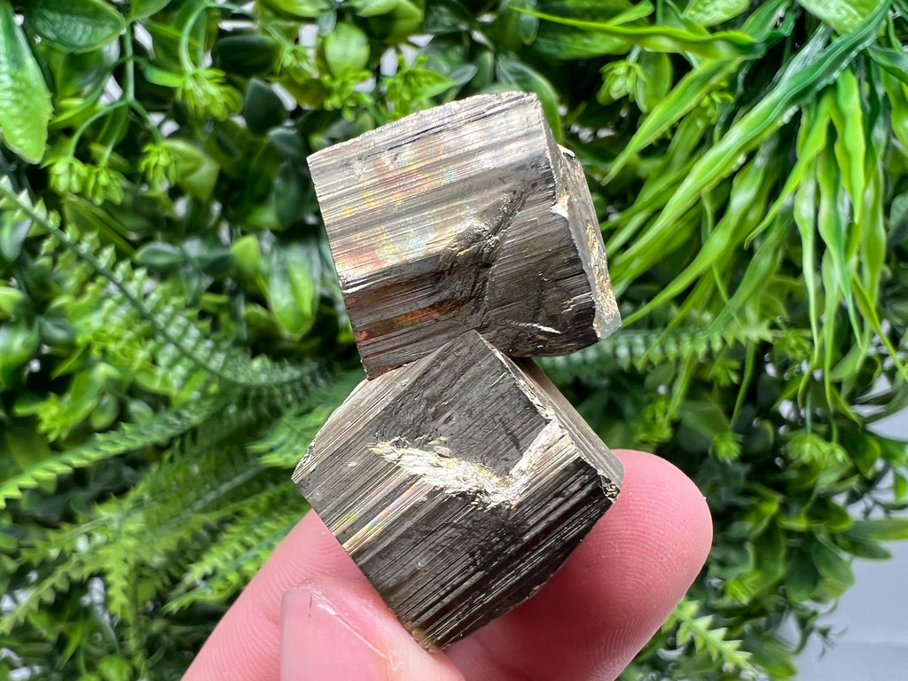 Rare Mini Pyrite Cluster: Borieva Mine, Bulgaria