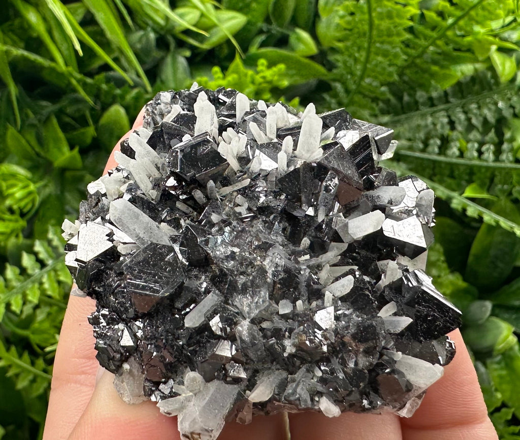 Borieva Mine Sphalerite on Quartz: Rare Mineral Cluster