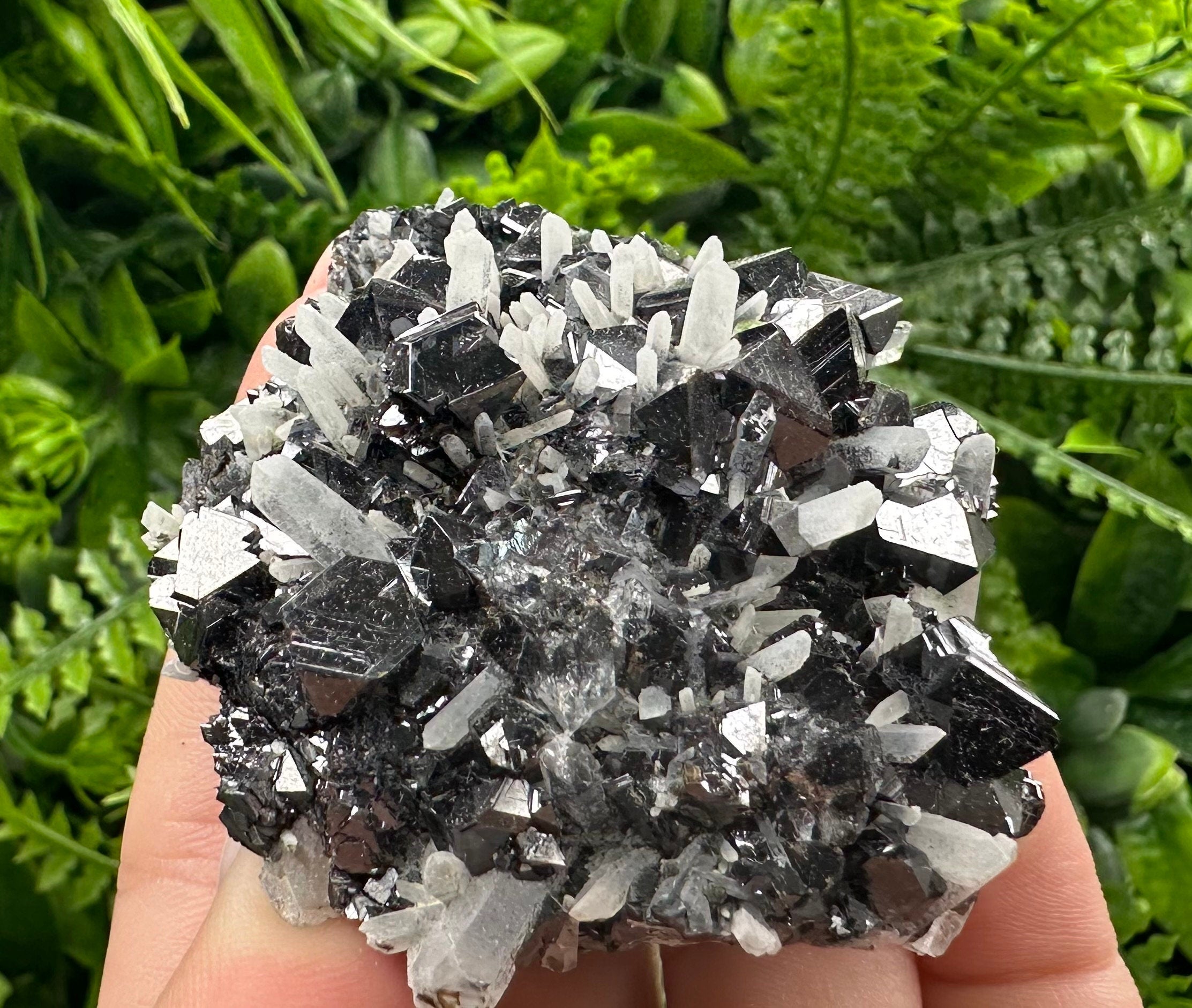 Borieva Mine Sphalerite on Quartz: Rare Mineral Cluster