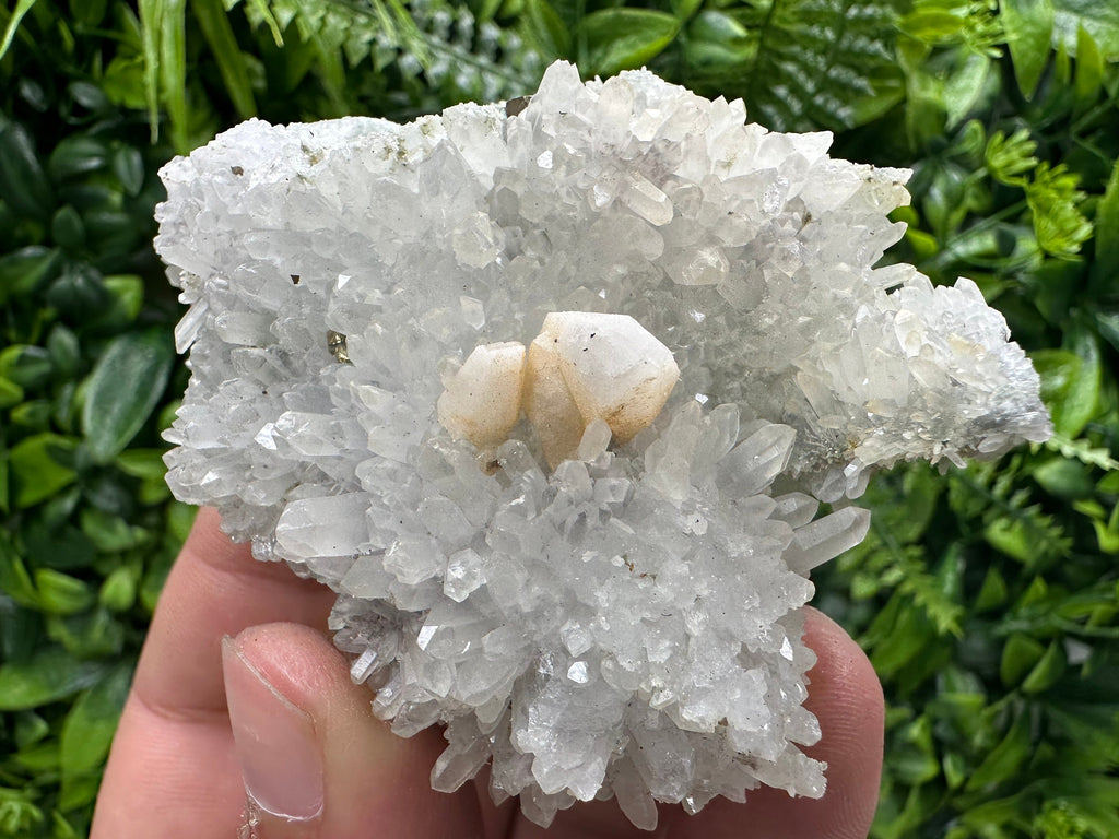 Quartz with Pyrite and Calcite, Djurcovo Laki, Bulgaria