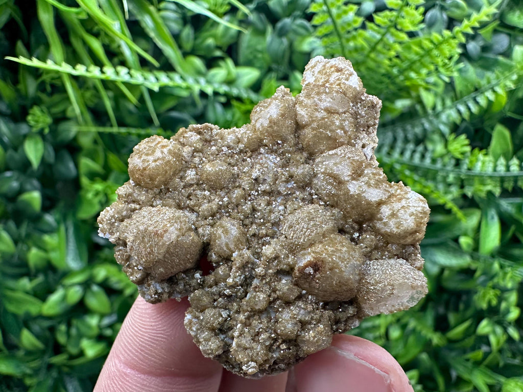 Brown Rhodochrosite on Calcite, Djurcovo Bulgaria, Mineral Specimen