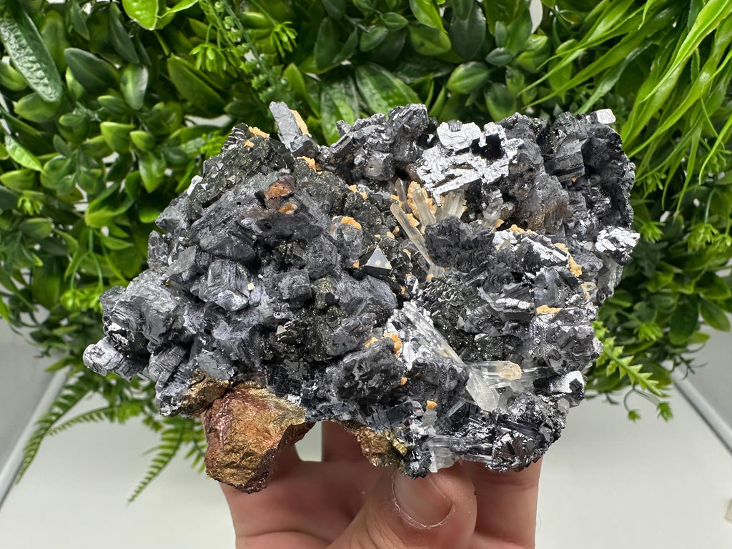 Amazing Galena spinel law on Quartz whit Siderite,from Krushev dol mine,Bulgaria,natural,collection mineral specimen,home decor crystal,souv