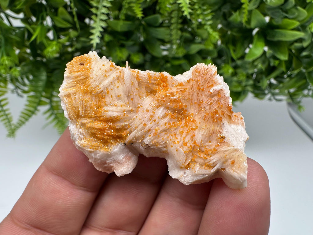 Red Vanadinite on Barite from Marocco,crystal minerals Speciment cluster Vanadinite crystal Vanadinite Geology Vanadinite cluster minerals