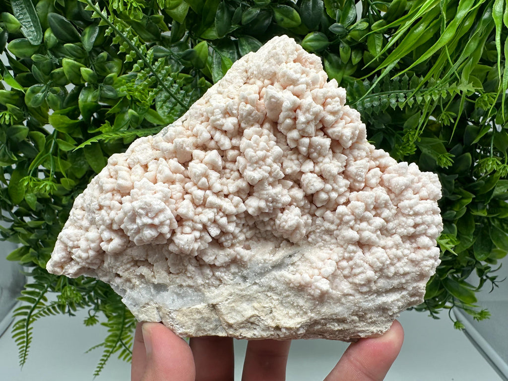 Pink Manganocalcite Mineral Specimen: Krushev Dol Mine, Bulgaria