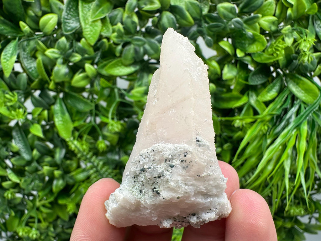 Mangano Calcite with Galena, Bulgaria Mineral Specimen