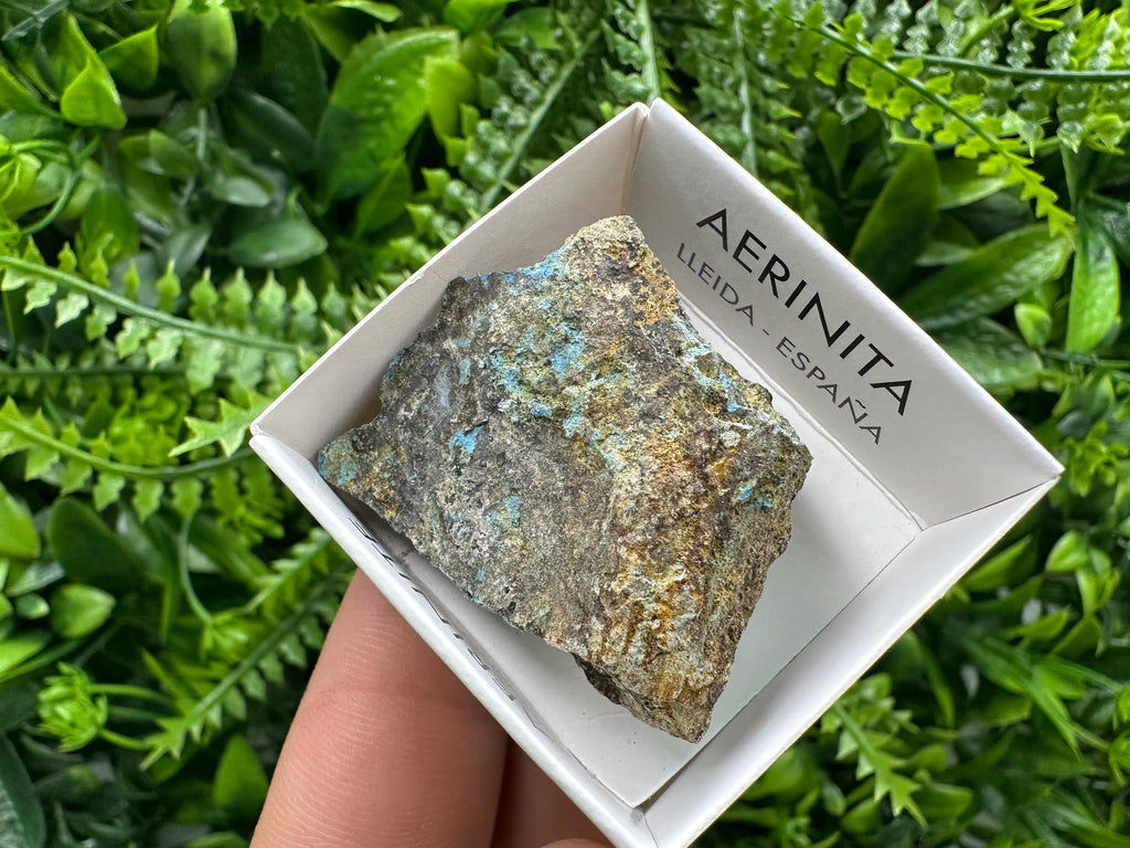 Rare Raw Aerinite Mineral Specimen, Lleida Spain Crystal