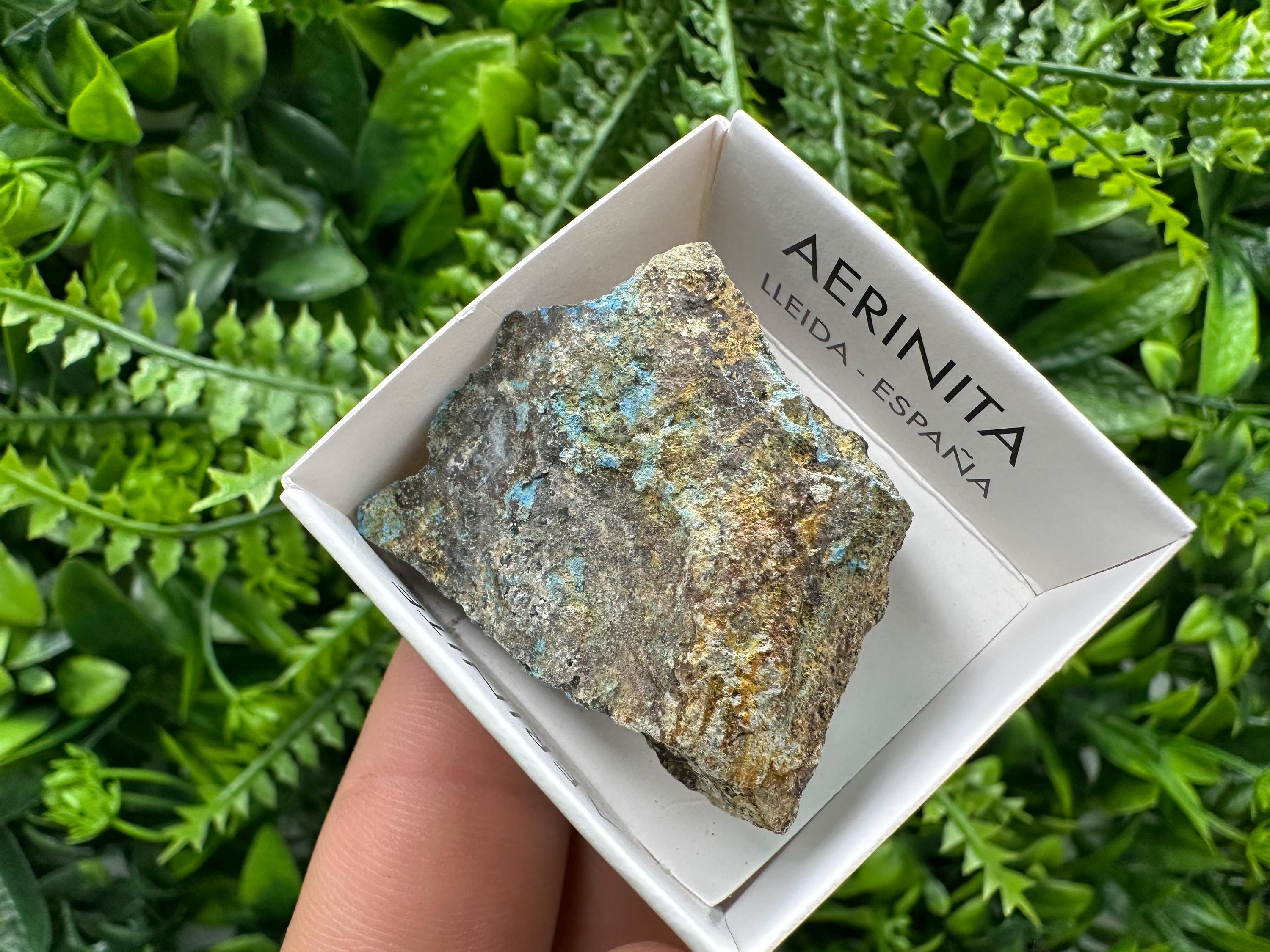Rare Raw Aerinite Mineral Specimen, Lleida Spain Crystal