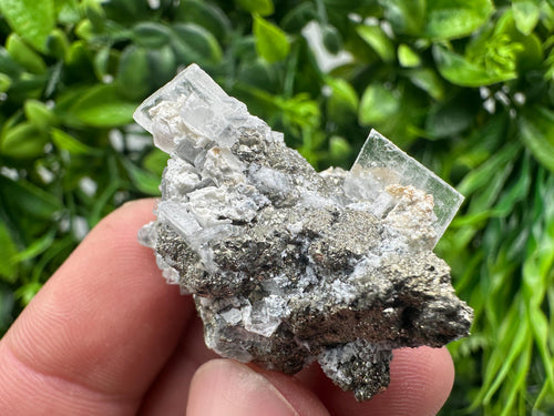 Barite Marcasite Cluster on Chalcedony - Androvo Mine, Bulgaria