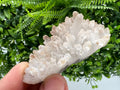 Quartz whit Brown Rhodochrosite from Djurcovo mine,Bulgaria,Quartz,Rhodochrosite cluster,natural mineral,collection crystal,mineral specimen