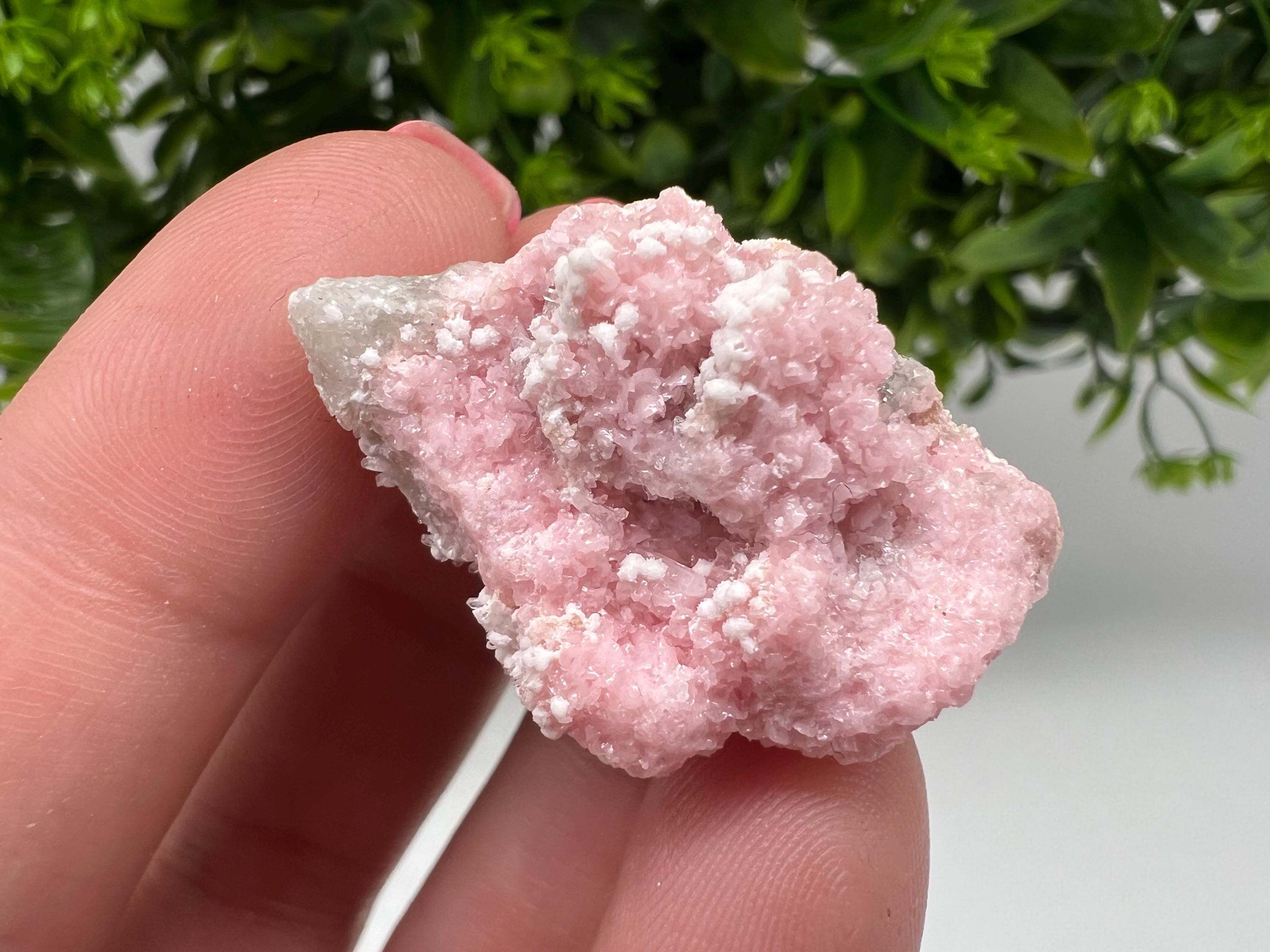 RARE Rhodochrosite whit white Calcite,pink mineral,Starnica Mine,Davidcovo,Bulgaria natural mineral,souvenir crystal,home decor,collectible
