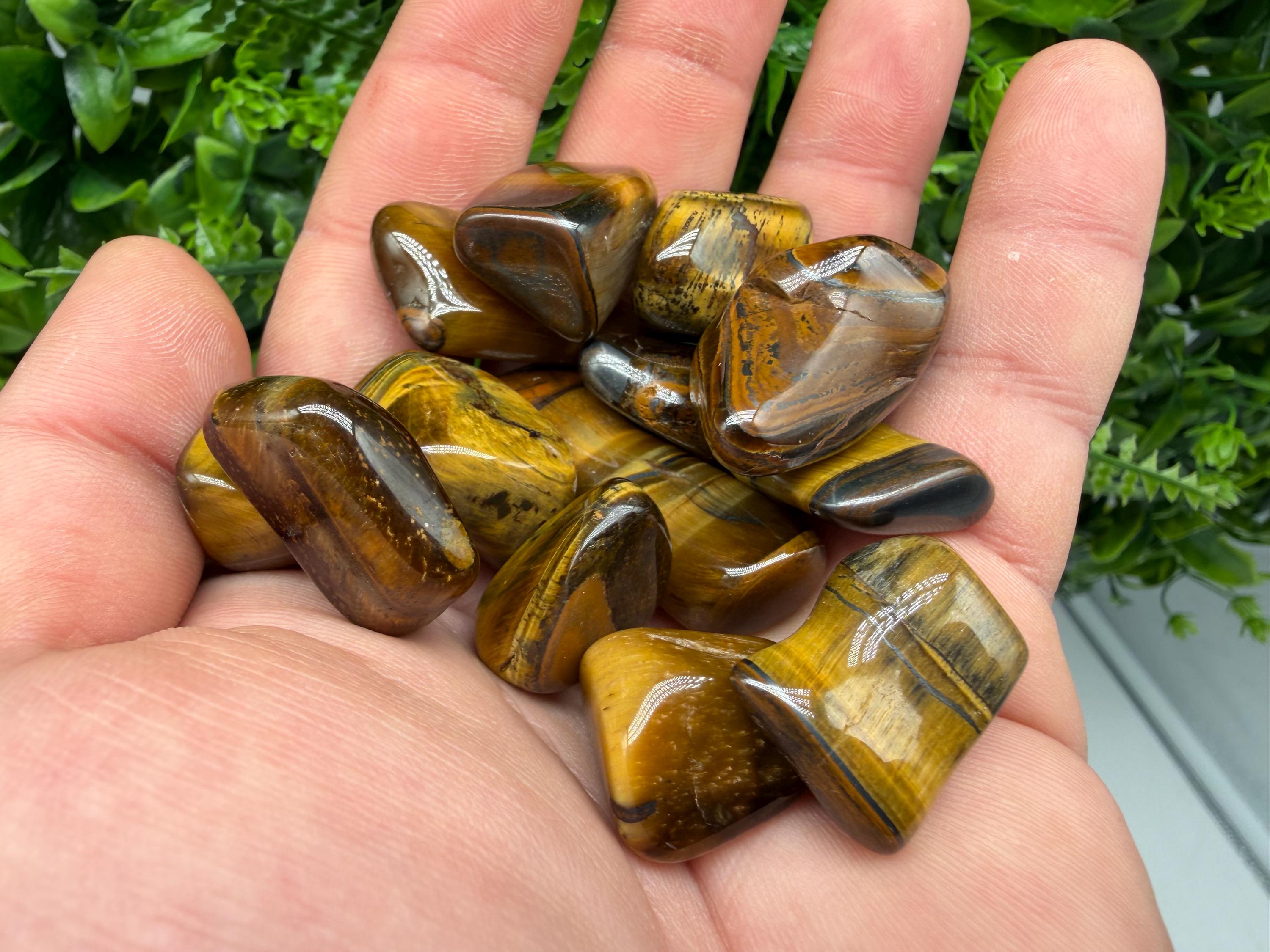 Tigers Eye Tumbled Stone: Zodiac Healing Crystal