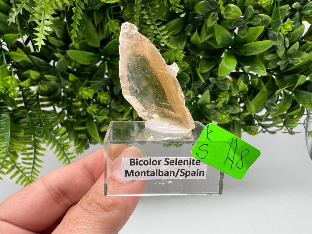 Golden Phantom Selenite Slab, Raw Utah Crystal (3/4cm)