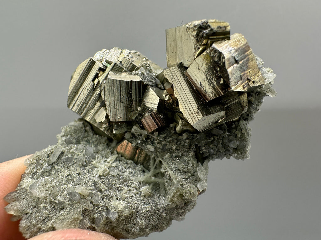 Golden Pyrite on Quartz with Chlorite - Borieva Mine Bulgaria