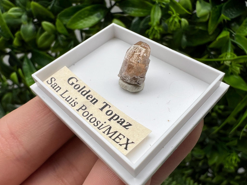 Beautiful Golden Topaz from Mexico,collection piece Crystal,Mineral,collectibles,Collectors, Natural Crystal, Minerals from Mexico,original,