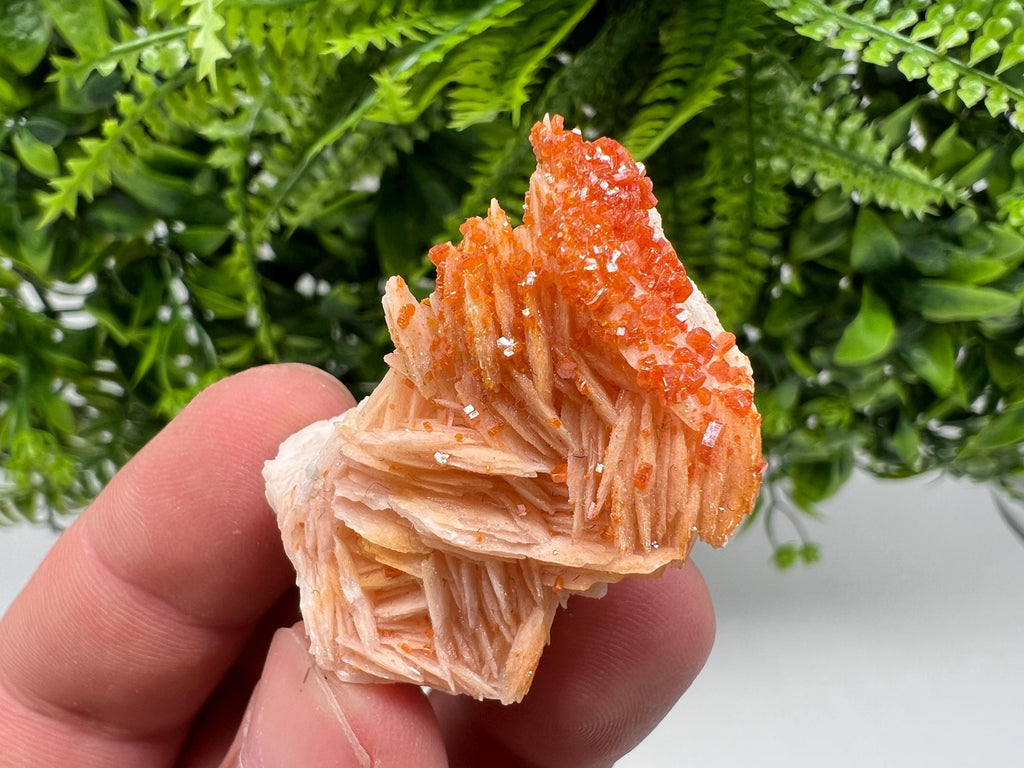 Red Vanadinite on Barite from Marocco,crystal minerals Speciment cluster Vanadinite crystal Vanadinite Geology Vanadinite cluster minerals
