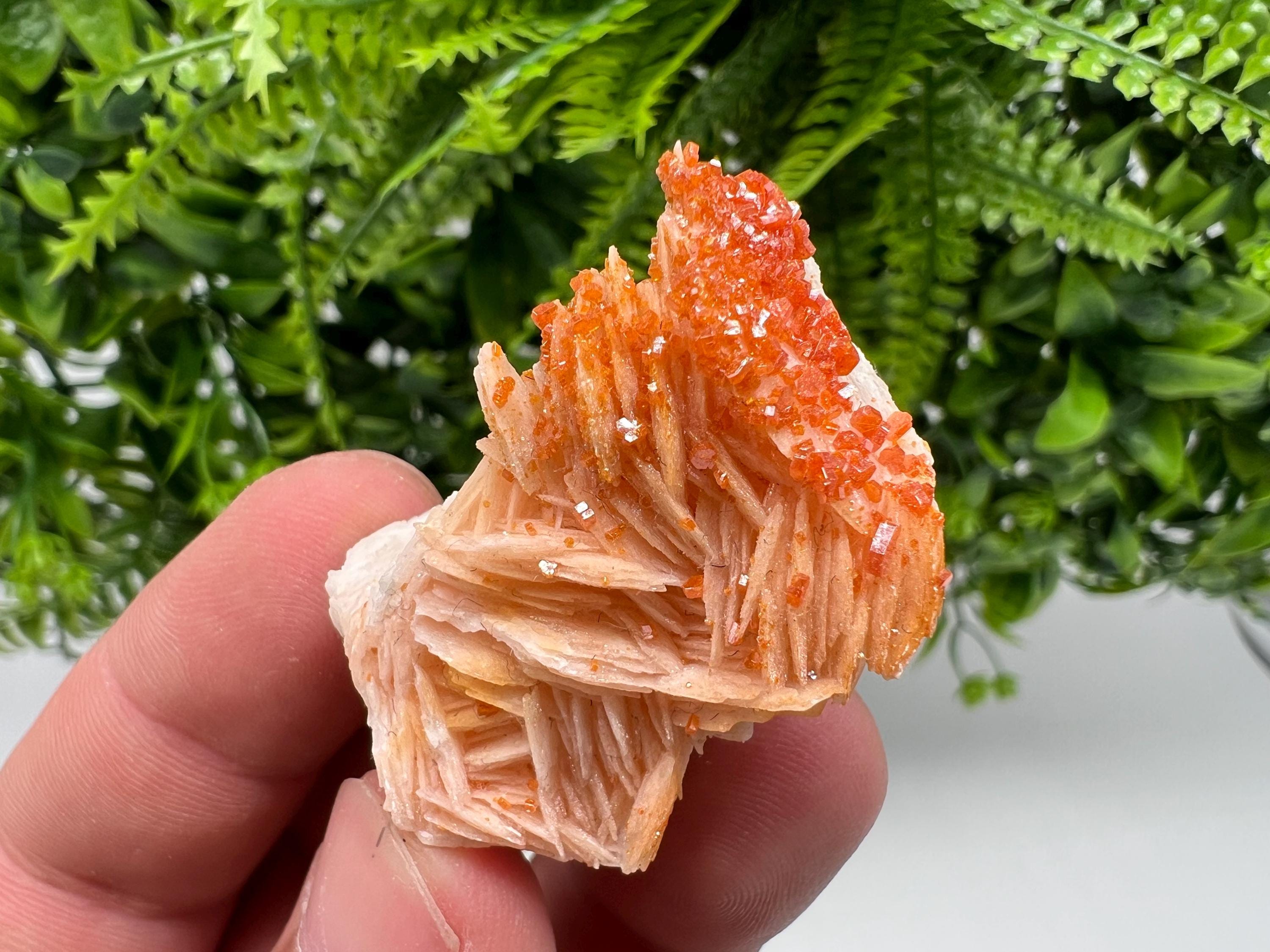 Red Vanadinite on Barite from Marocco,crystal minerals Speciment cluster Vanadinite crystal Vanadinite Geology Vanadinite cluster minerals