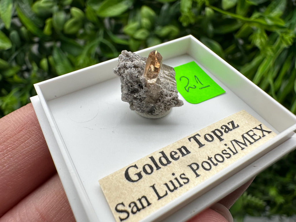 Golden Topaz Crystal, Mineral Specimen from Mexico