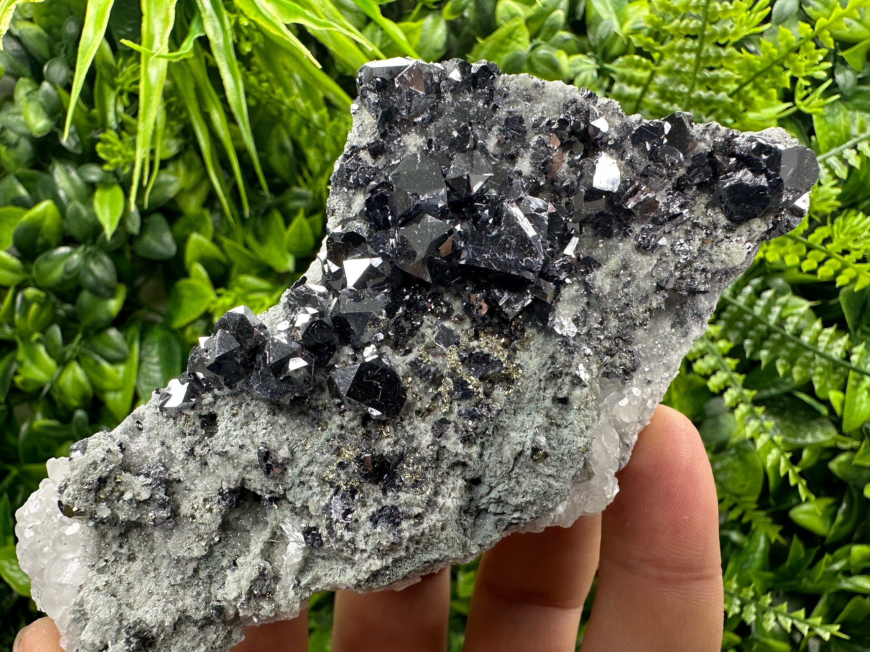 Skeletal Galena on Quartz with Pyrite - Bulgaria Crystal Decor