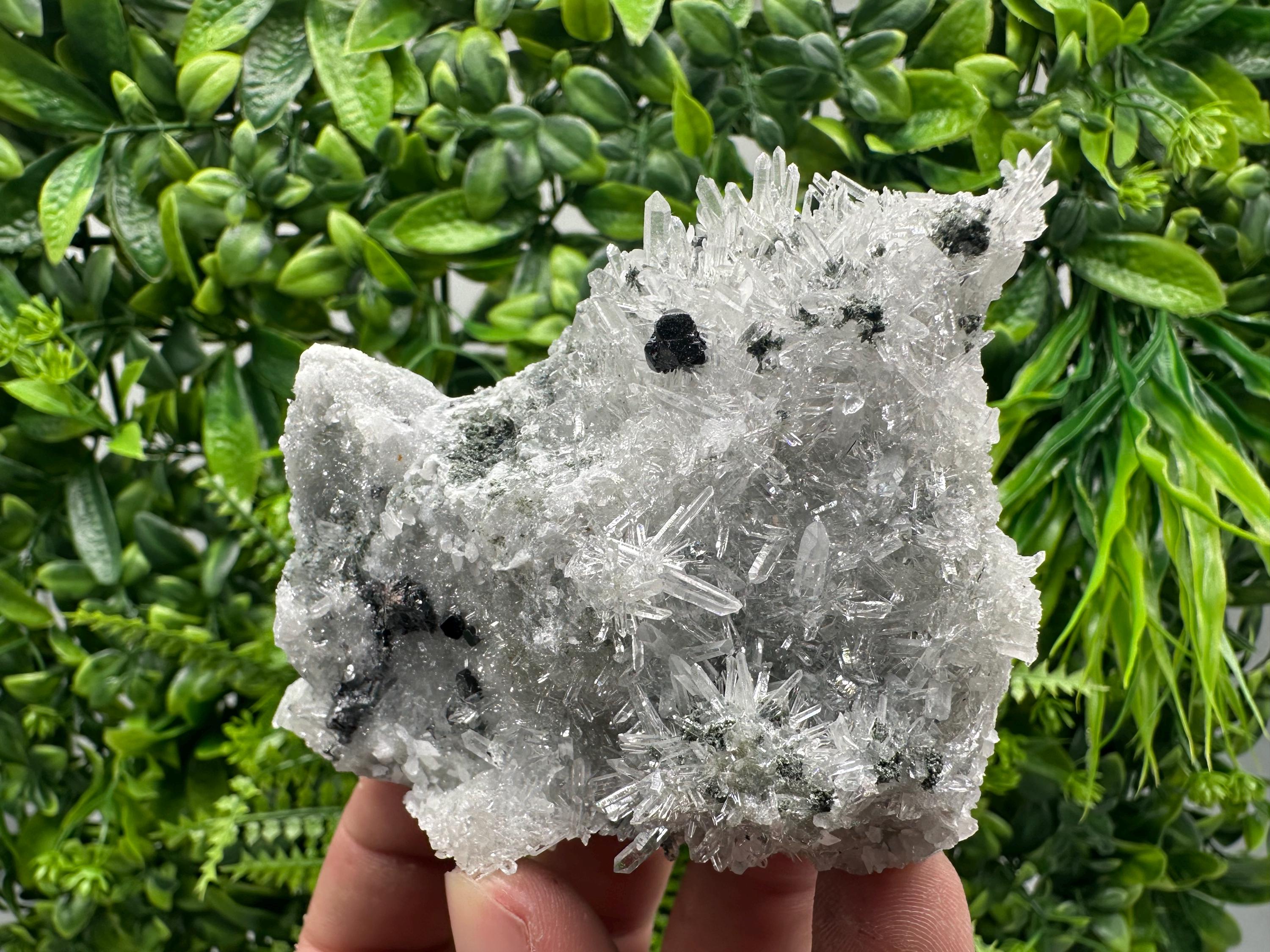 Sphalerite on Green Quartz, Borieva Mine Mineral Specimen