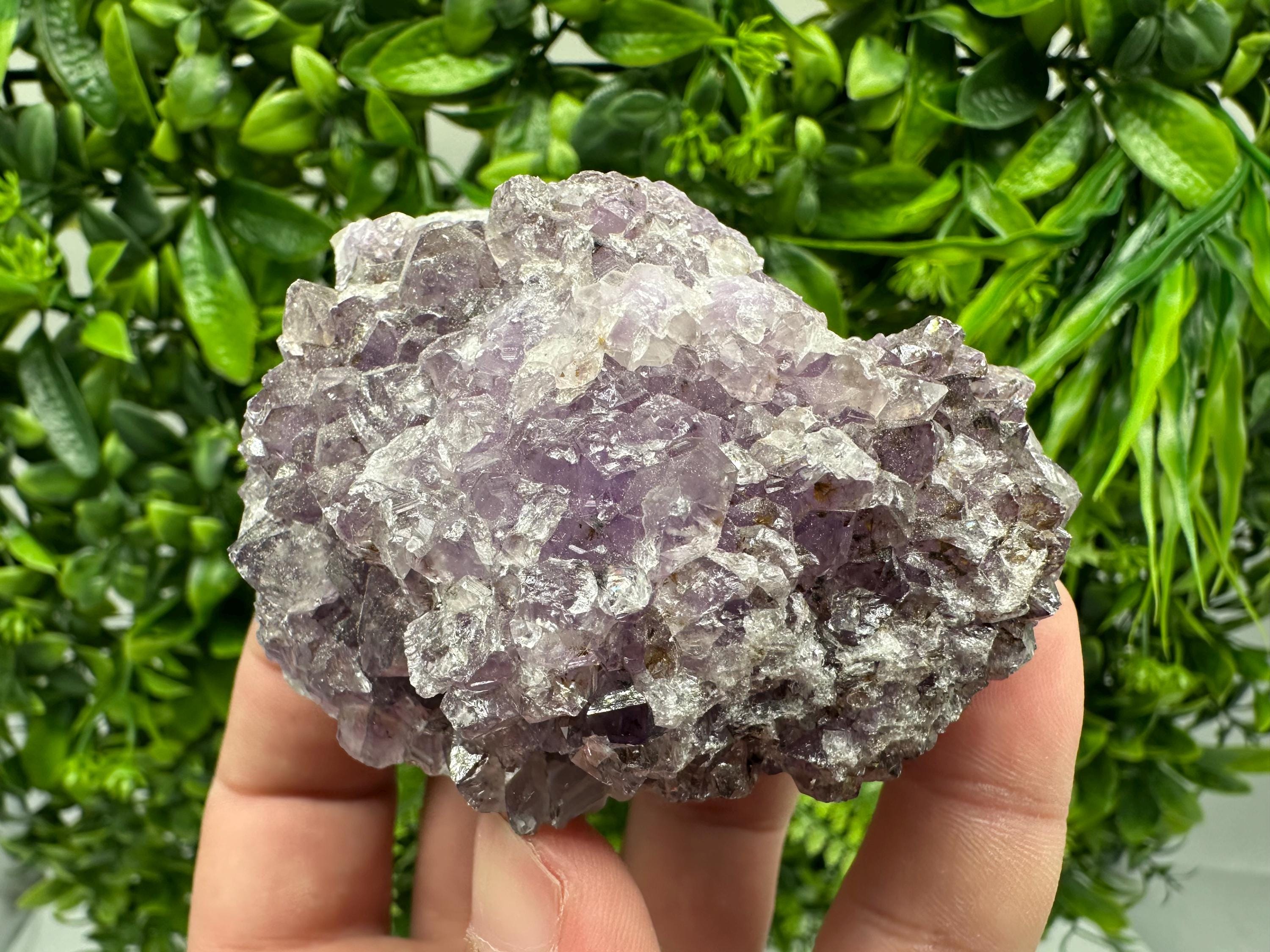 Brazilian Amethyst Cluster, Purple Quartz Crystal Specimen