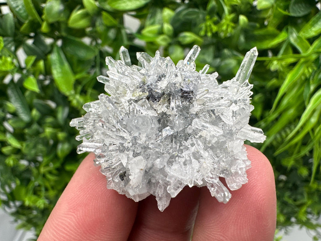 Chlorite Quartz Crystal Cluster - Borieva Mine, Bulgaria