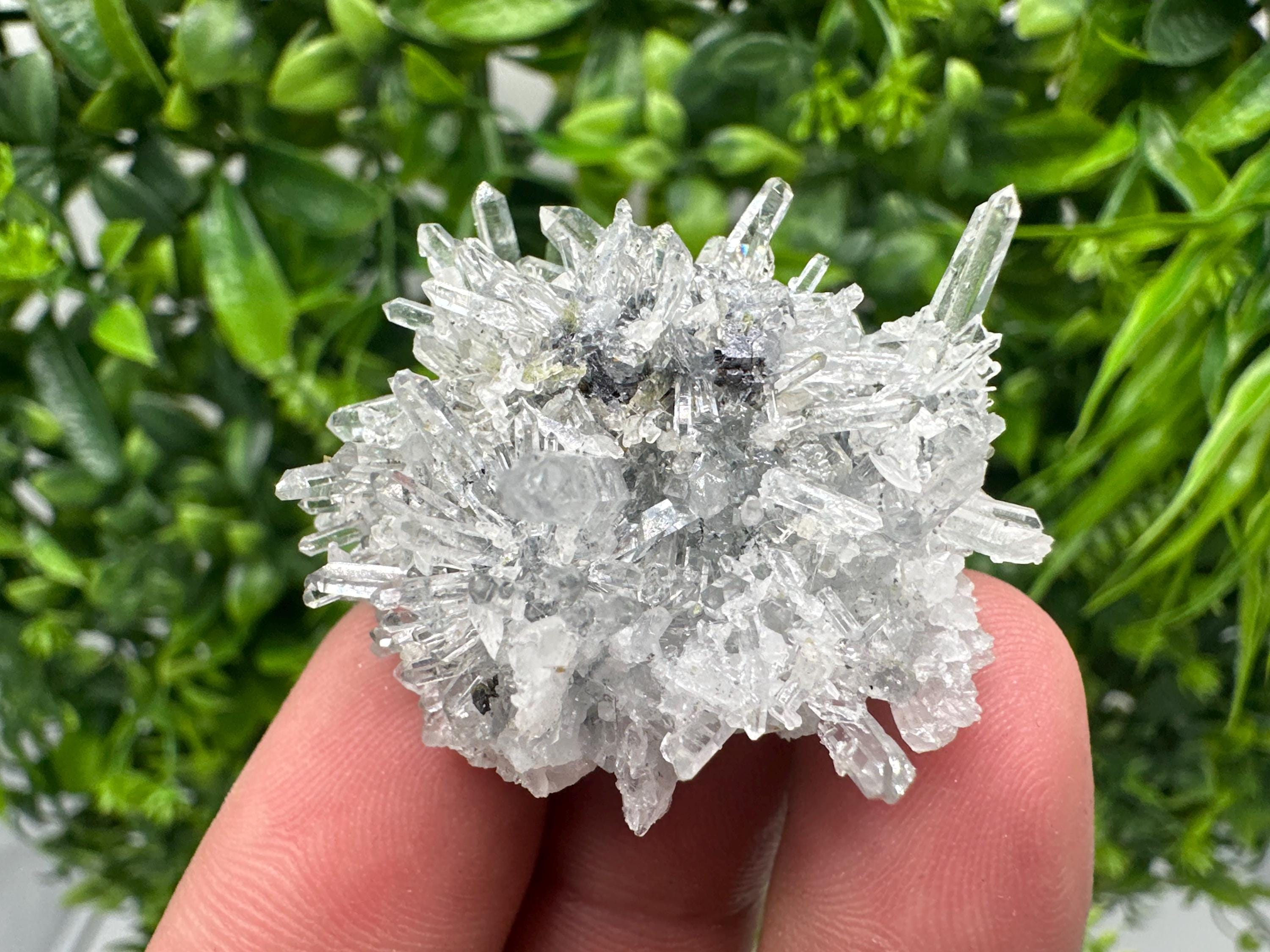 Chlorite Quartz Crystal Cluster - Borieva Mine, Bulgaria