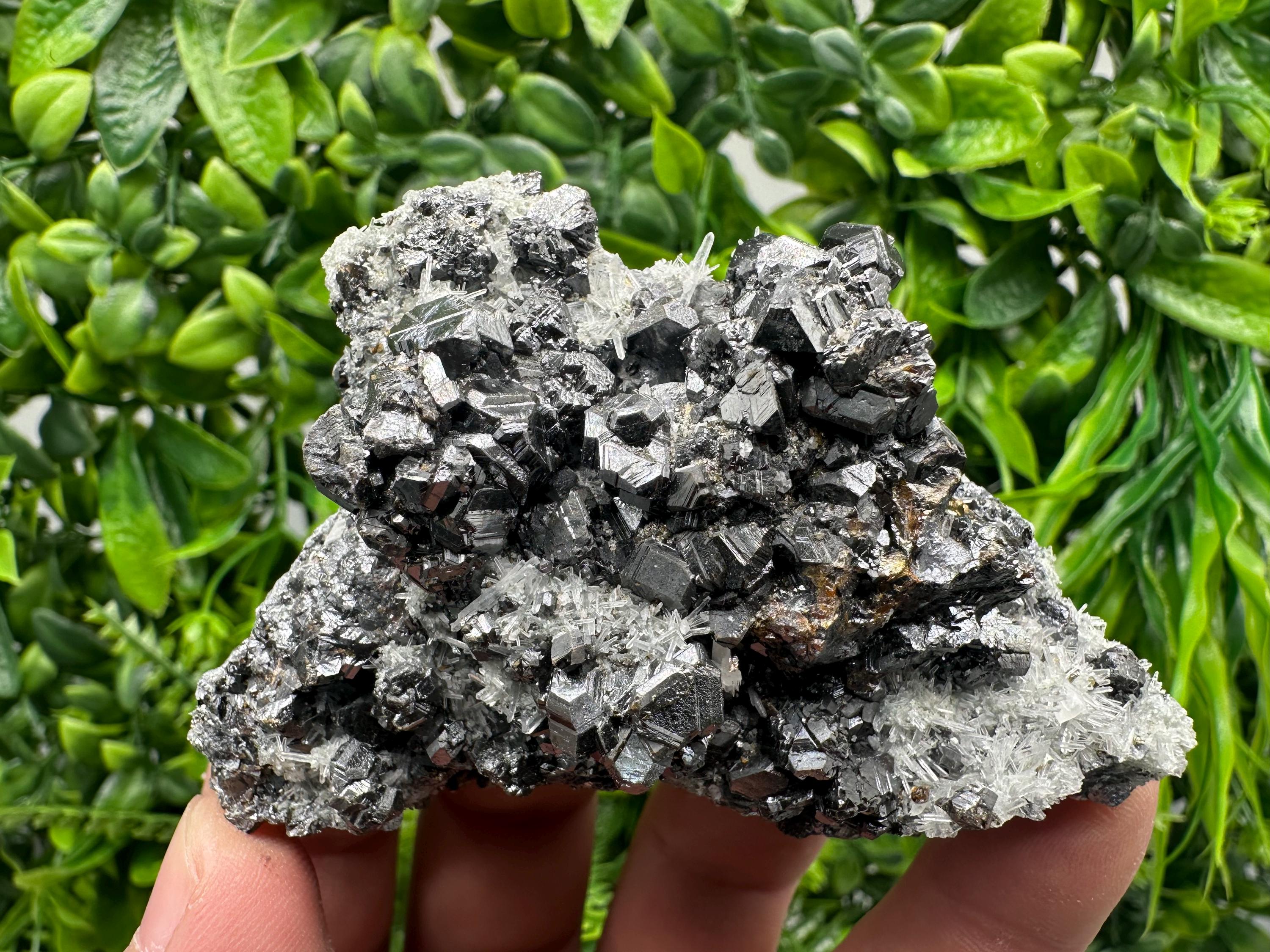 Sphalerite on Green Quartz, Madan Bulgaria, Mineral Specimen