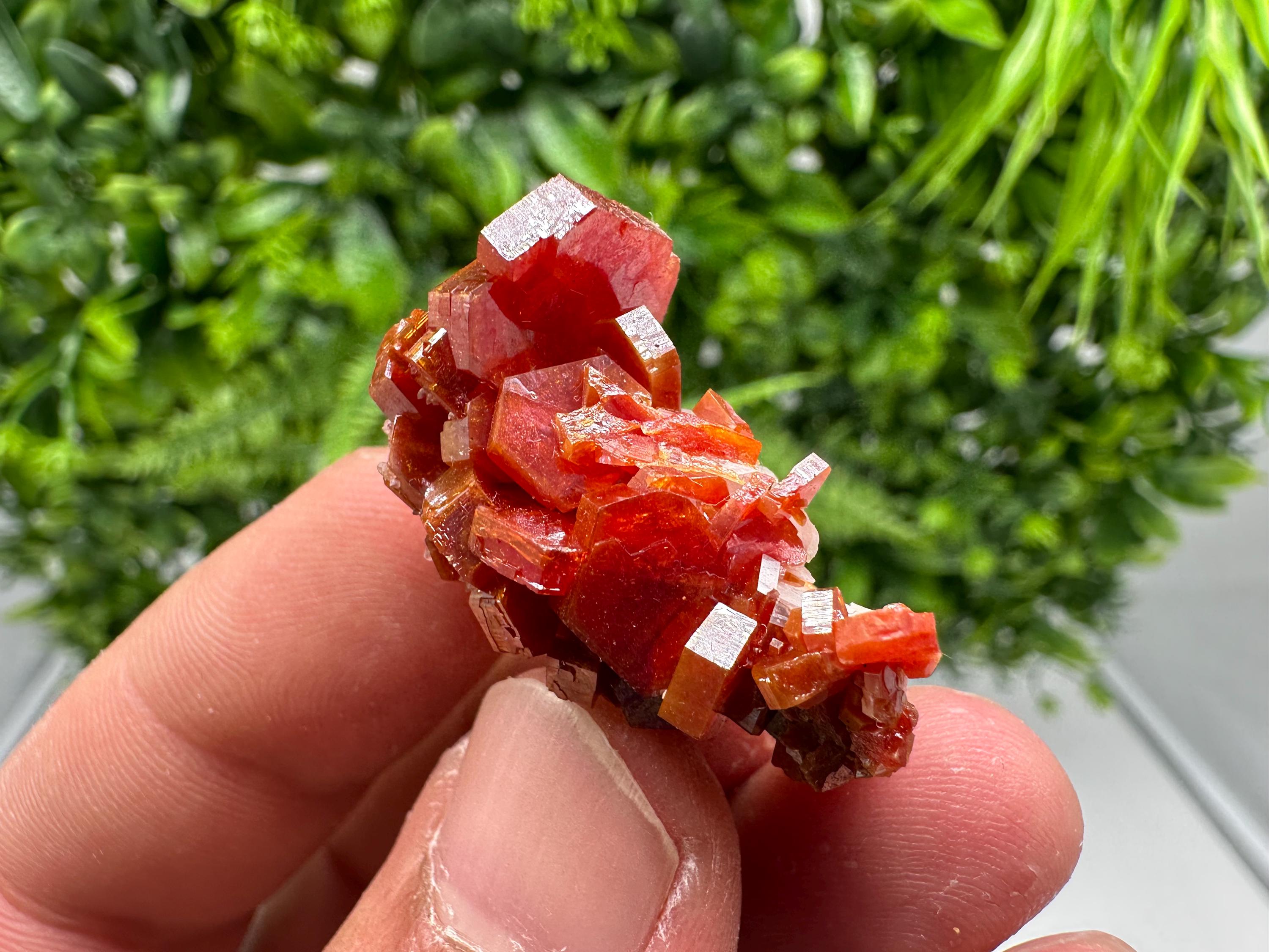 Red Vanadinite on Barite from Marocco,crystal minerals Speciment cluster Vanadinite crystal Vanadinite Geology Vanadinite cluster minerals