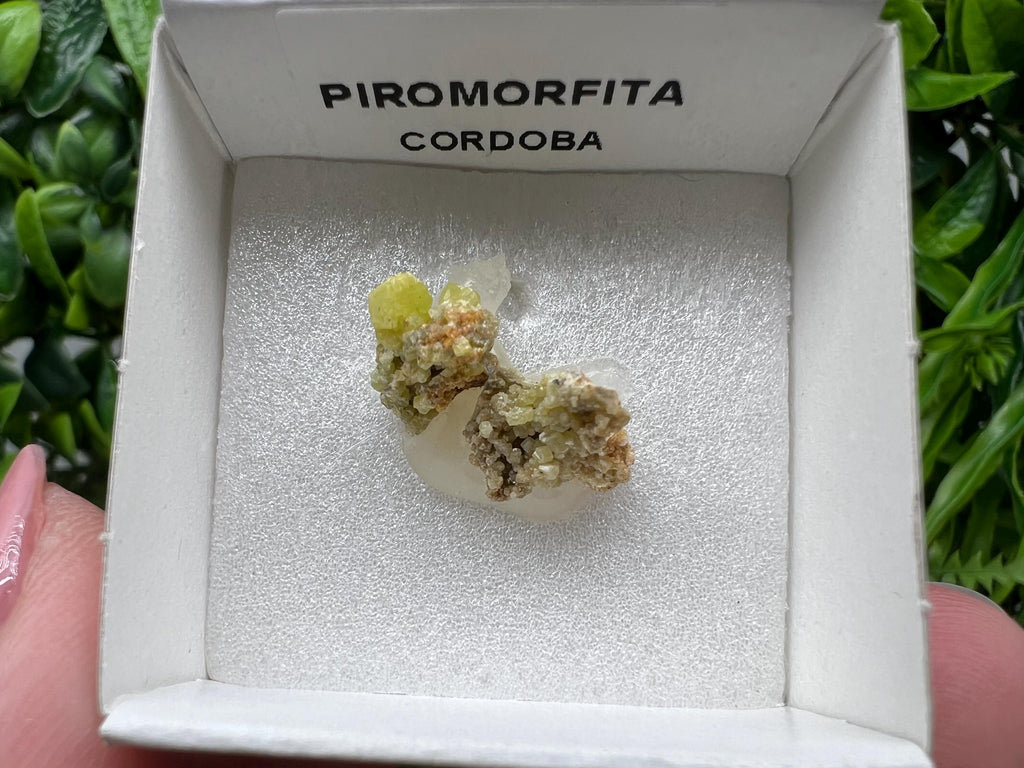 Pyromorphite Stone / Pyromorphite on Matrix / Pyromorphite Crystal / Raw Crystal / Pyromorphite Cluster / Rough Pyromorphite / Pyromorphite
