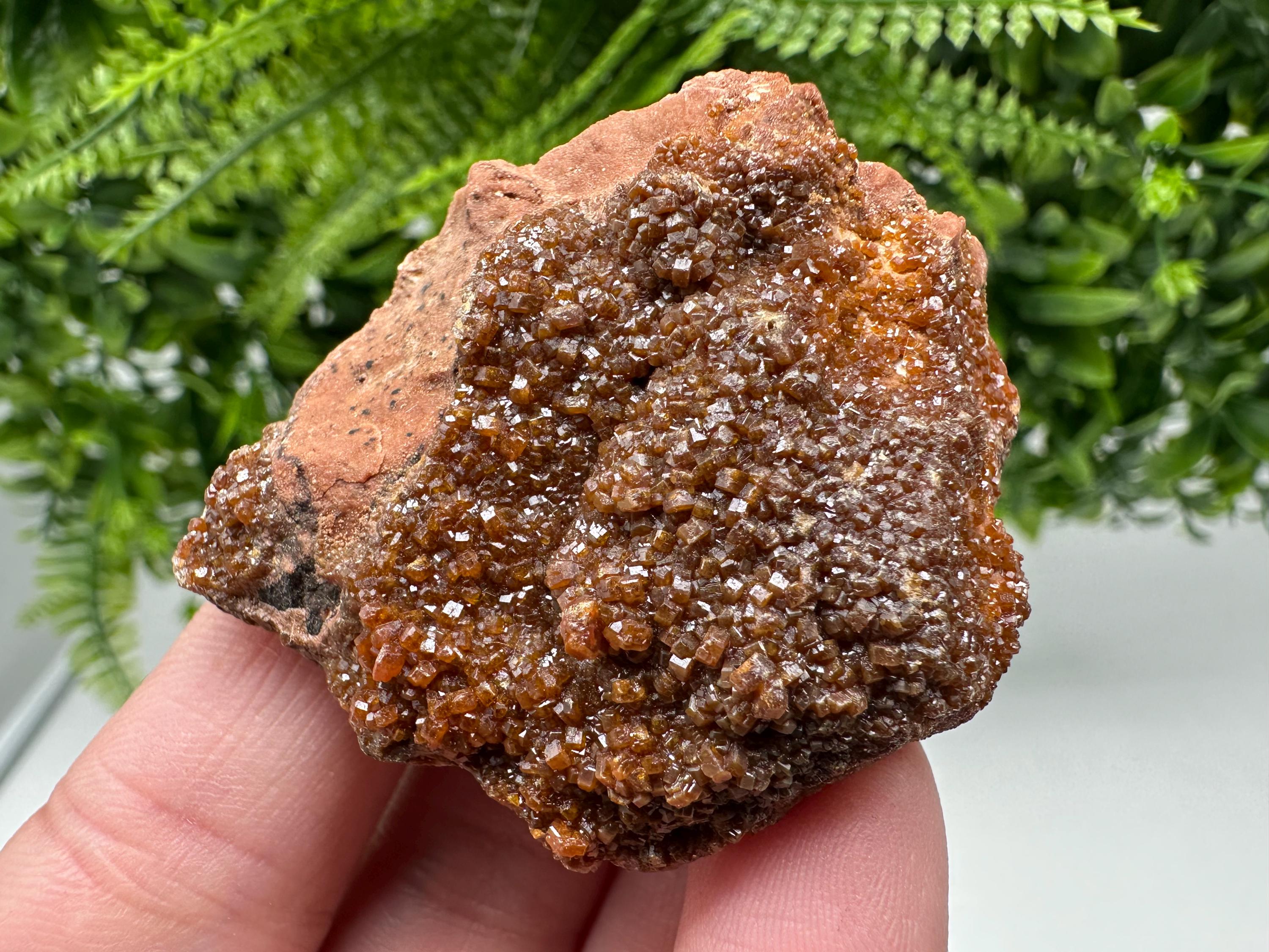 Red Vanadinite on Matrix from Marocco,crystal minerals Speciment cluster Vanadinite crystal Vanadinite Geology Vanadinite cluster minerals