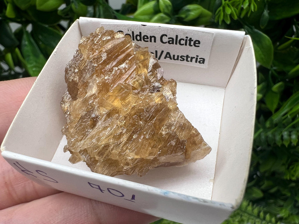 Raw Honey Calcite Stone: Golden Crystal (4/3 cm