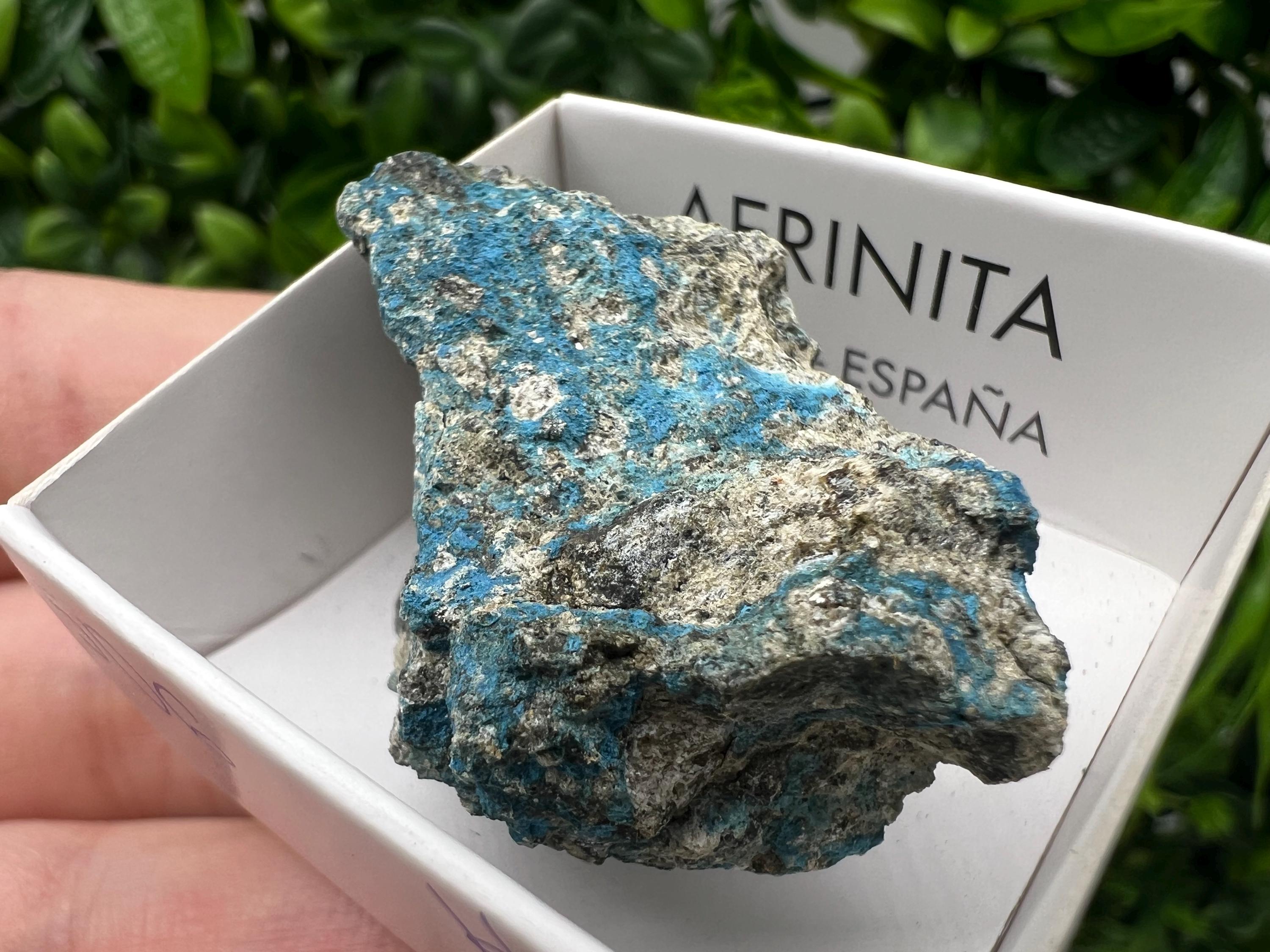 Rare Raw Aerinite Mineral Specimen: Lleida, Spain Crystal