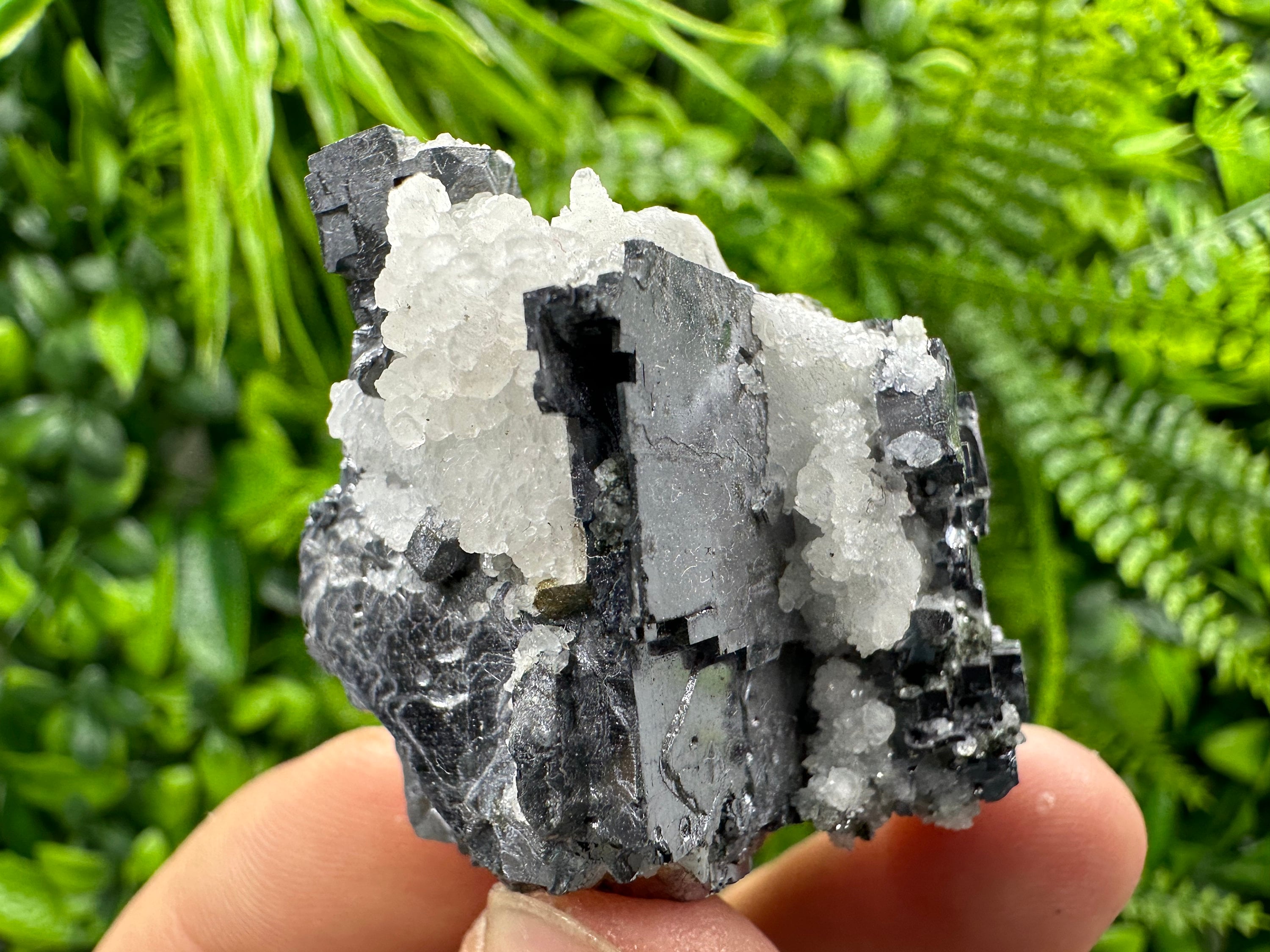 Galena with Calcite: Natural Mineral Specimen, Borieva Mine, Bulgaria