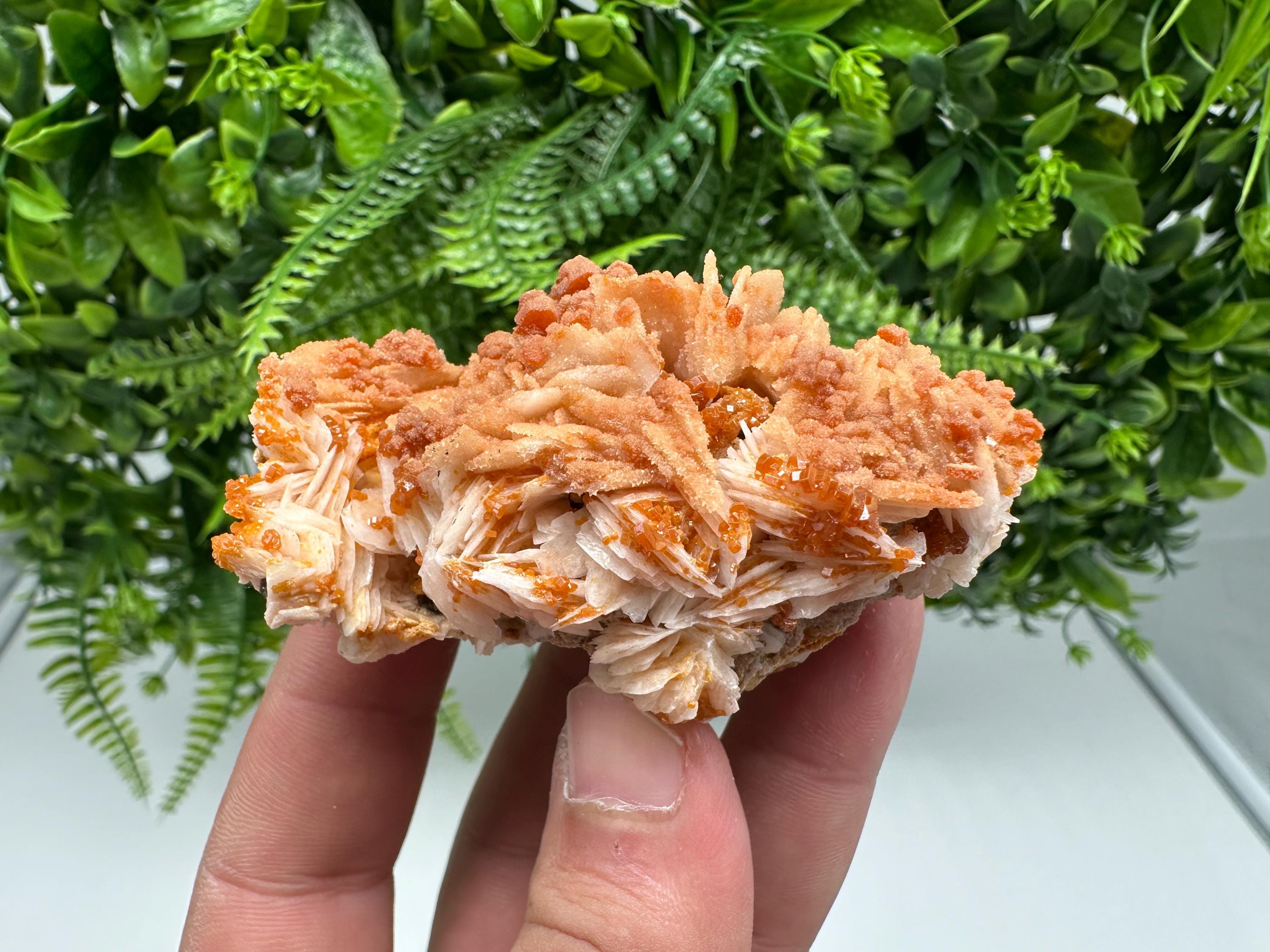 Red Vanadinite on Barite from Marocco,crystal minerals Speciment cluster Vanadinite crystal Vanadinite Geology Vanadinite cluster minerals