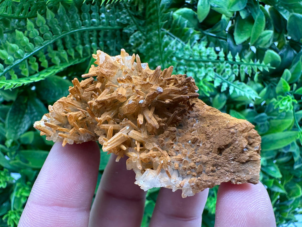 Limonite Coated Quartz Crystal - Iron Oxide Mineral Specimen