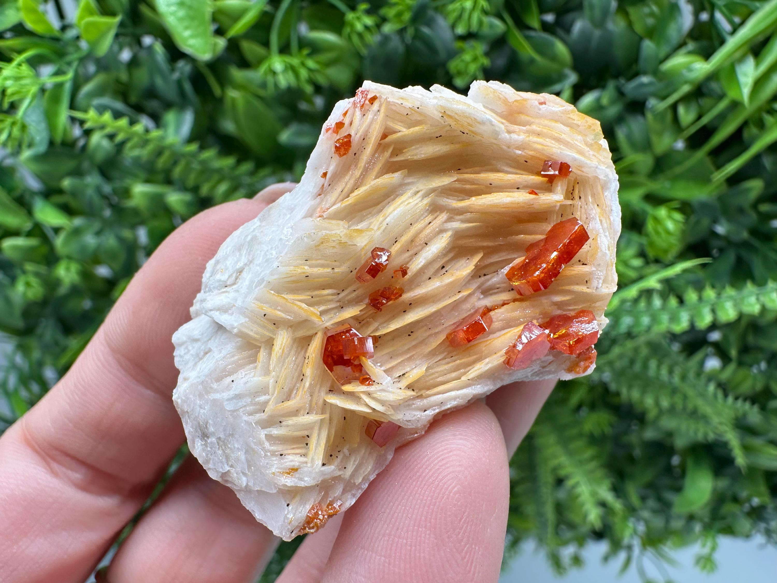 Red Vanadinite Crystals on Barite Matrix, Morocco Mineral Specimen