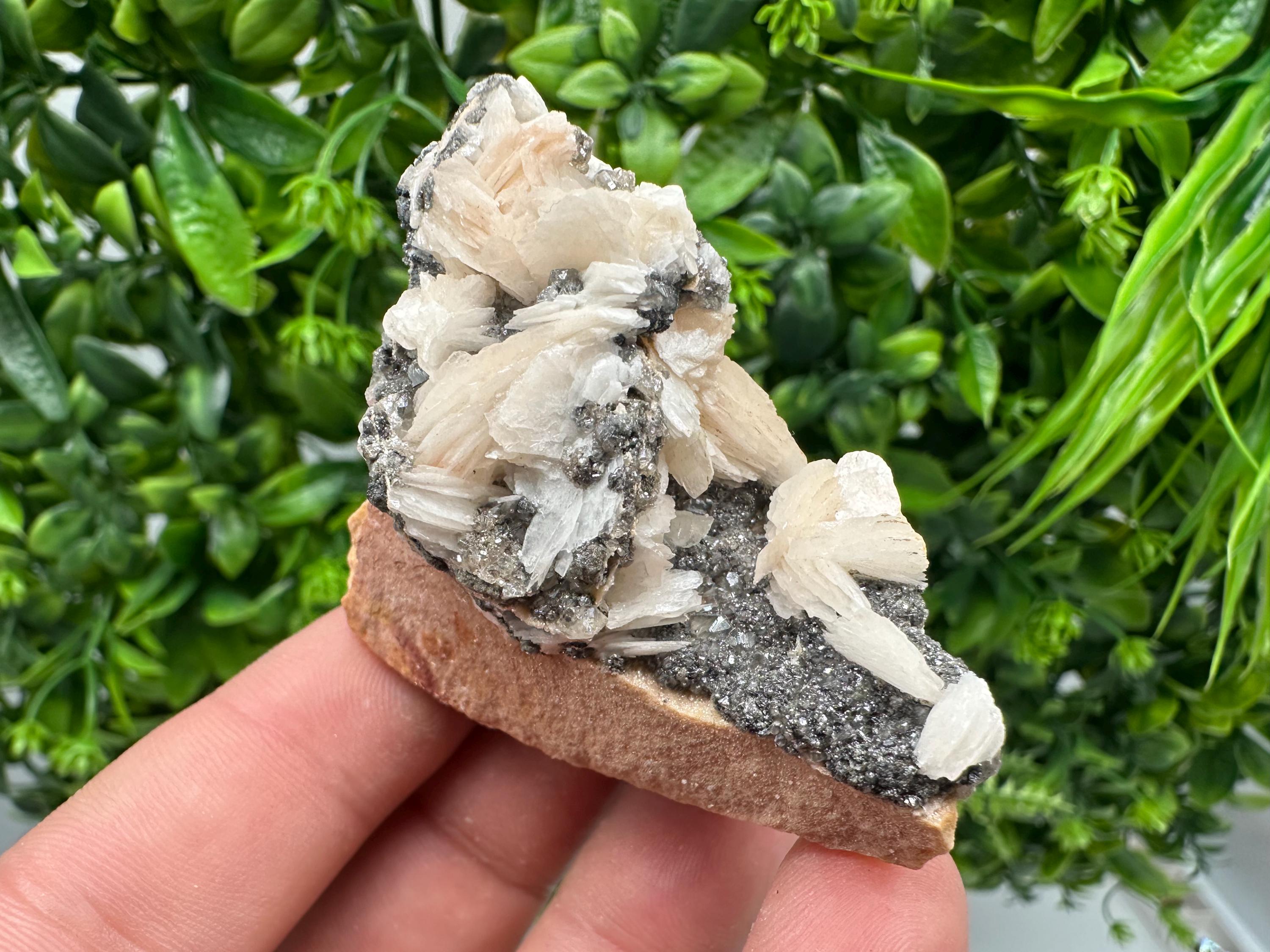 Wonderful Baryte with Cerussite on Galena from Morocco,Crystal, Mineral,Specimen,Cluster,Crystals,Barite Crystal,Cerussite Crystal,Specimen