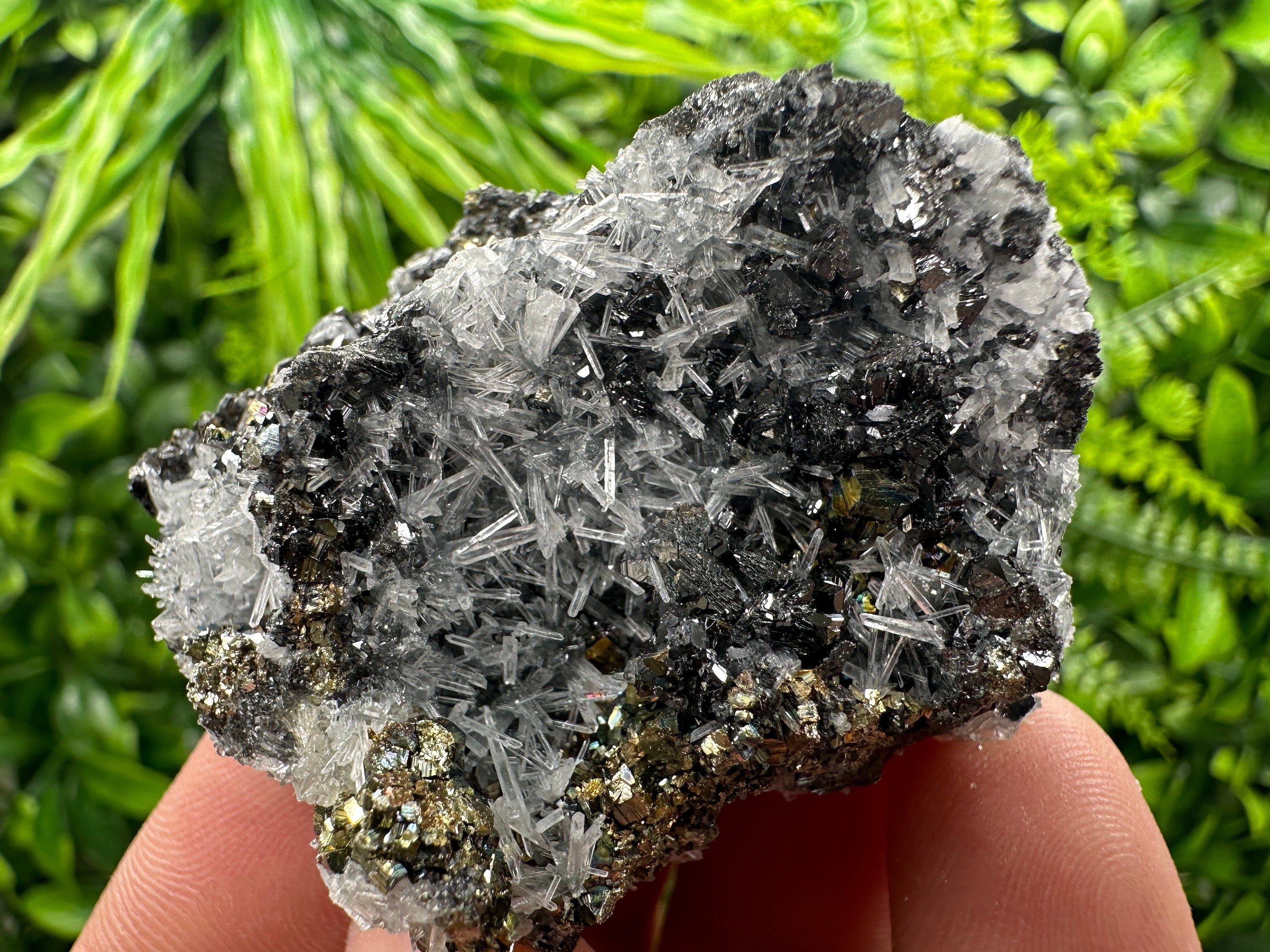 Rainbow Pyrite, Sphalerite on Quartz: Natural Crystal Souvenir