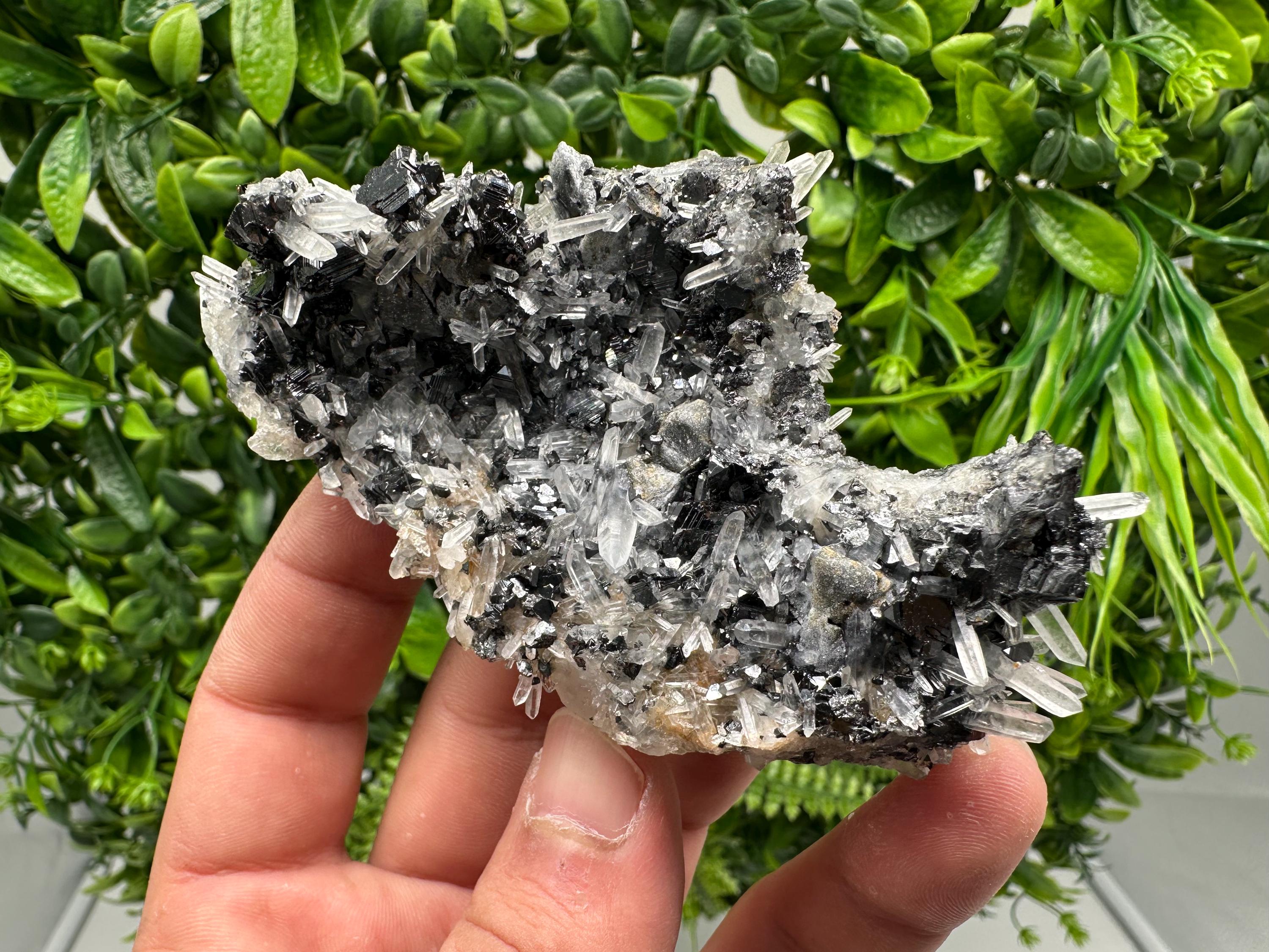 Wonderful Sphalerite Chalcopyrite on  Quartz whit Galena feom 9 th September mine,Bulgaria,natural,collection mineral specimen,gift