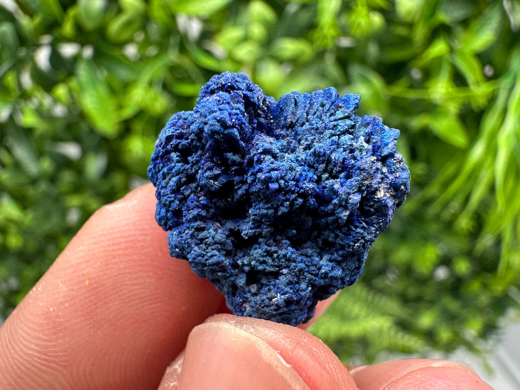 Crystallized Azurite-Kerrouchen,Morocco-Blue Azurite Specimen-High Quality Blue Azurite-Azurite Mineral Specimen, gemmy,lustrous of Azurite