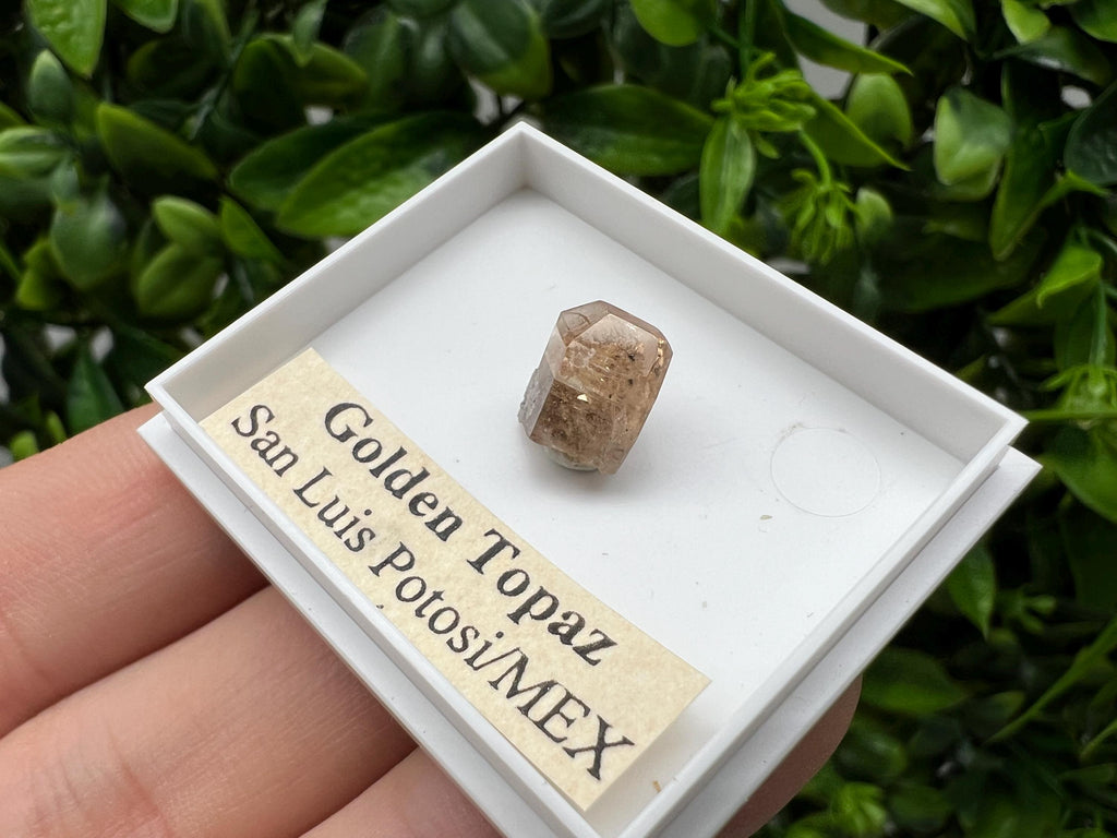 Beautiful Golden Topaz from Mexico,collection piece Crystal,Mineral,collectibles,Collectors, Natural Crystal, Minerals from Mexico,original,
